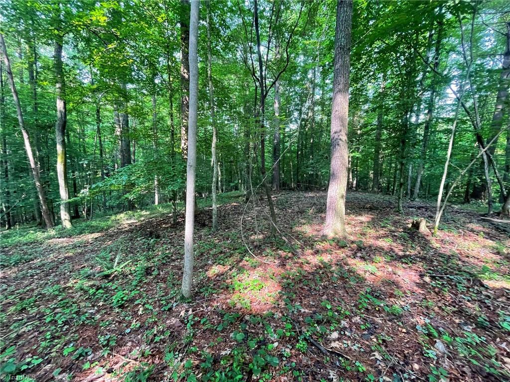 Tbd Poplar Springs Road Roaring River, NC 28669 - Photo 19 of 24 Gallery Image 19