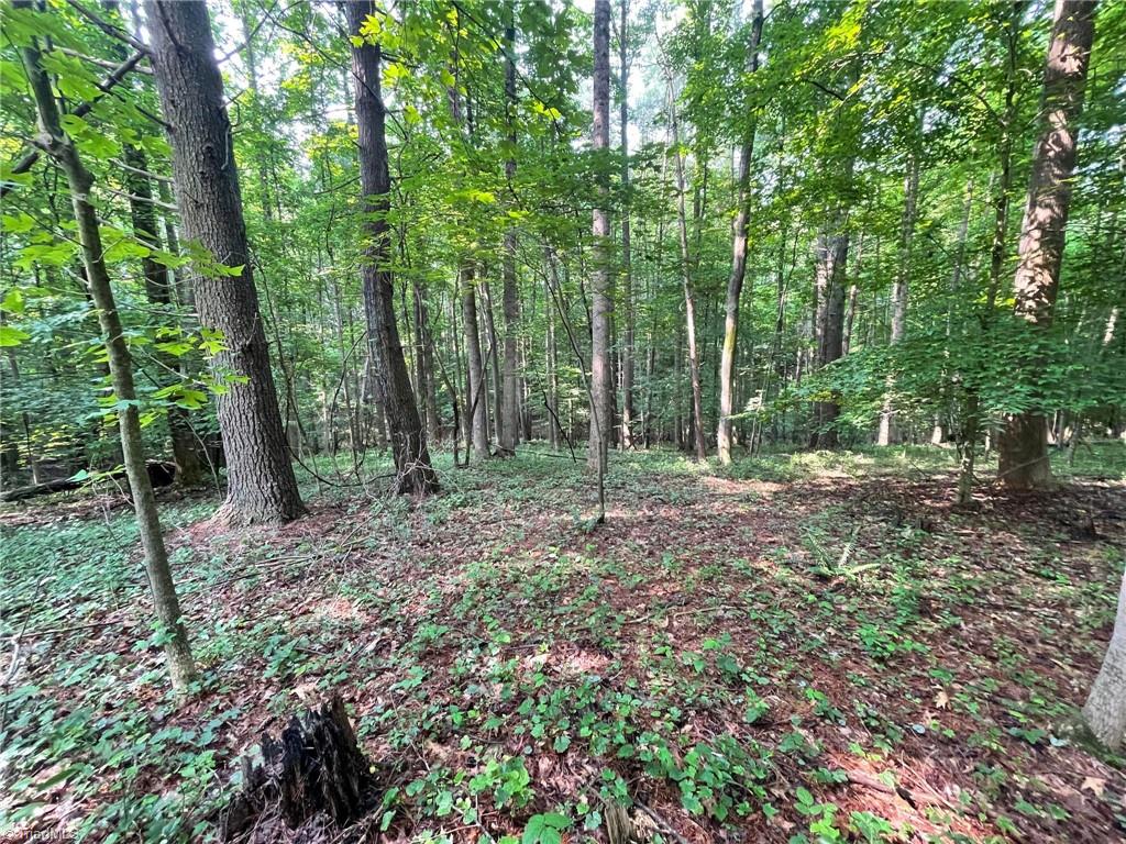 Tbd Poplar Springs Road Roaring River, NC 28669 - Photo 20 of 24 Gallery Image 20