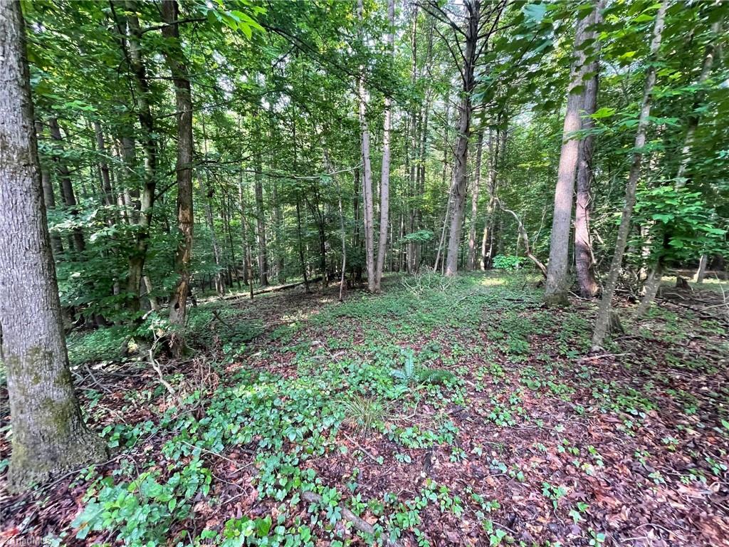 Tbd Poplar Springs Road Roaring River, NC 28669 - Photo 21 of 24 Gallery Image 21