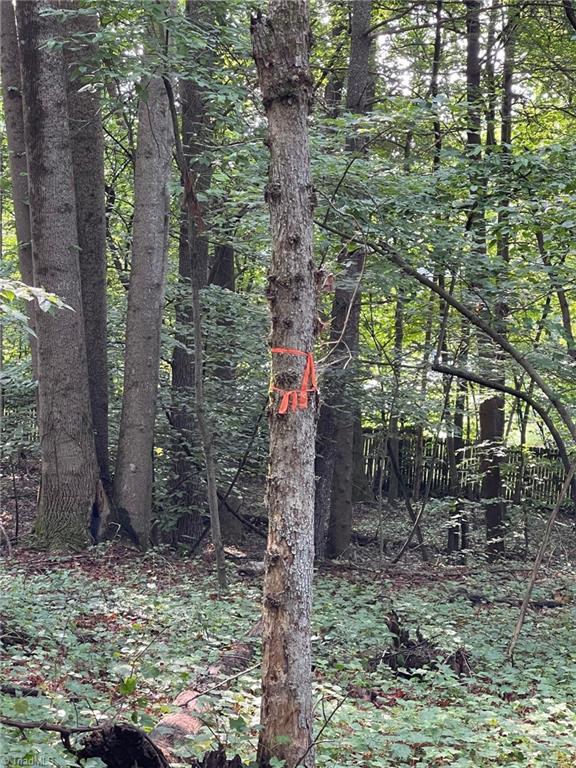 Tbd Poplar Springs Road Roaring River, NC 28669 - Photo 22 of 24 Gallery Image 22