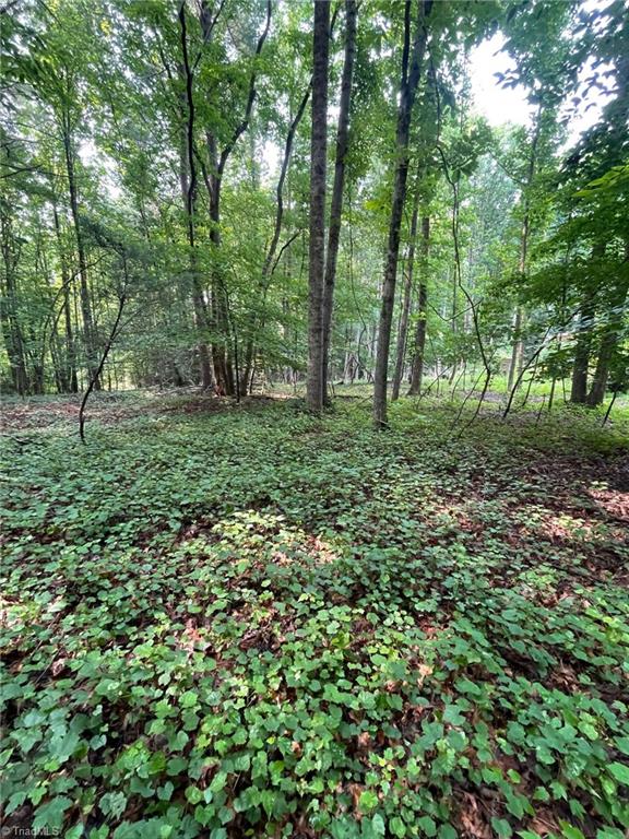 Tbd Poplar Springs Road Roaring River, NC 28669 - Photo 23 of 24 Gallery Image 23