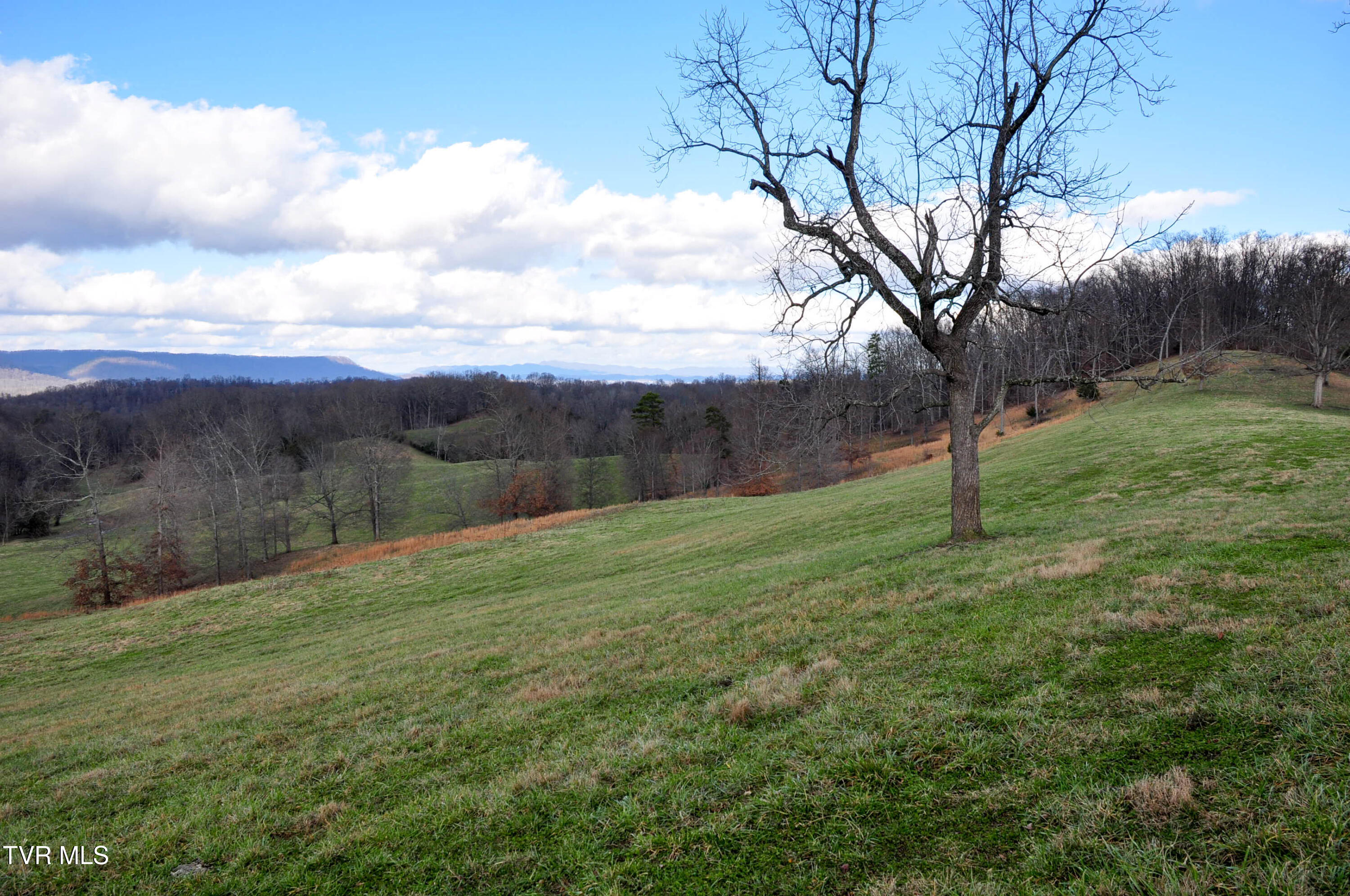 760 Church Road Fall Branch, TN 37656 - Photo 6 of 49 DSC_5669