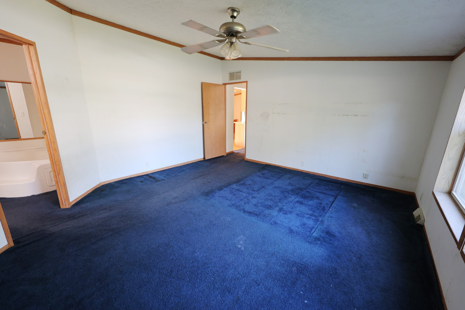 354 North 5th Street Sheldon, IL 60966 - Photo 19 of 25 Gallery Image 19