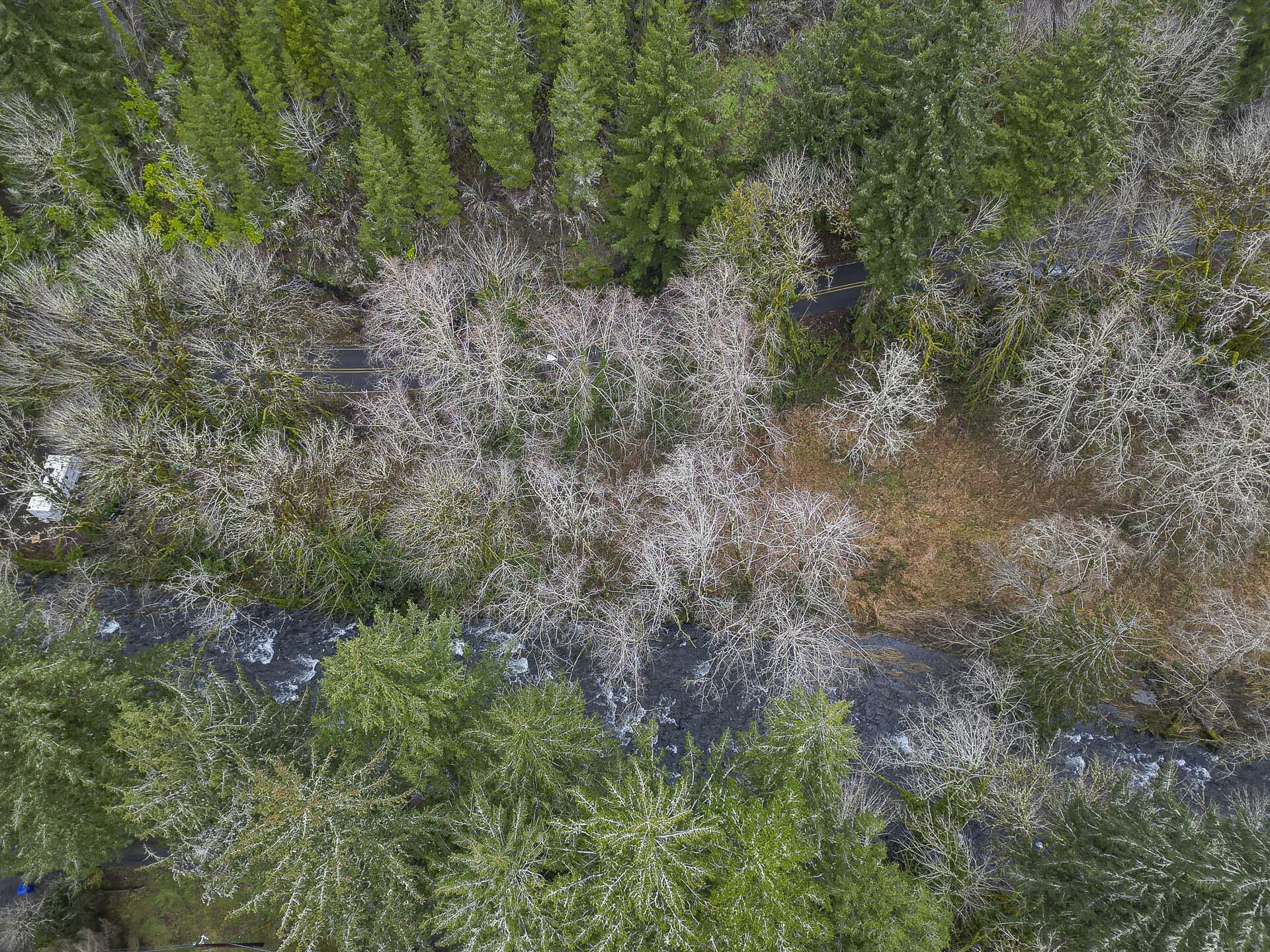 400 North Slick Rock Creek Road Otis, OR 97368 - Photo 10 of 20 Drone- View of Lot