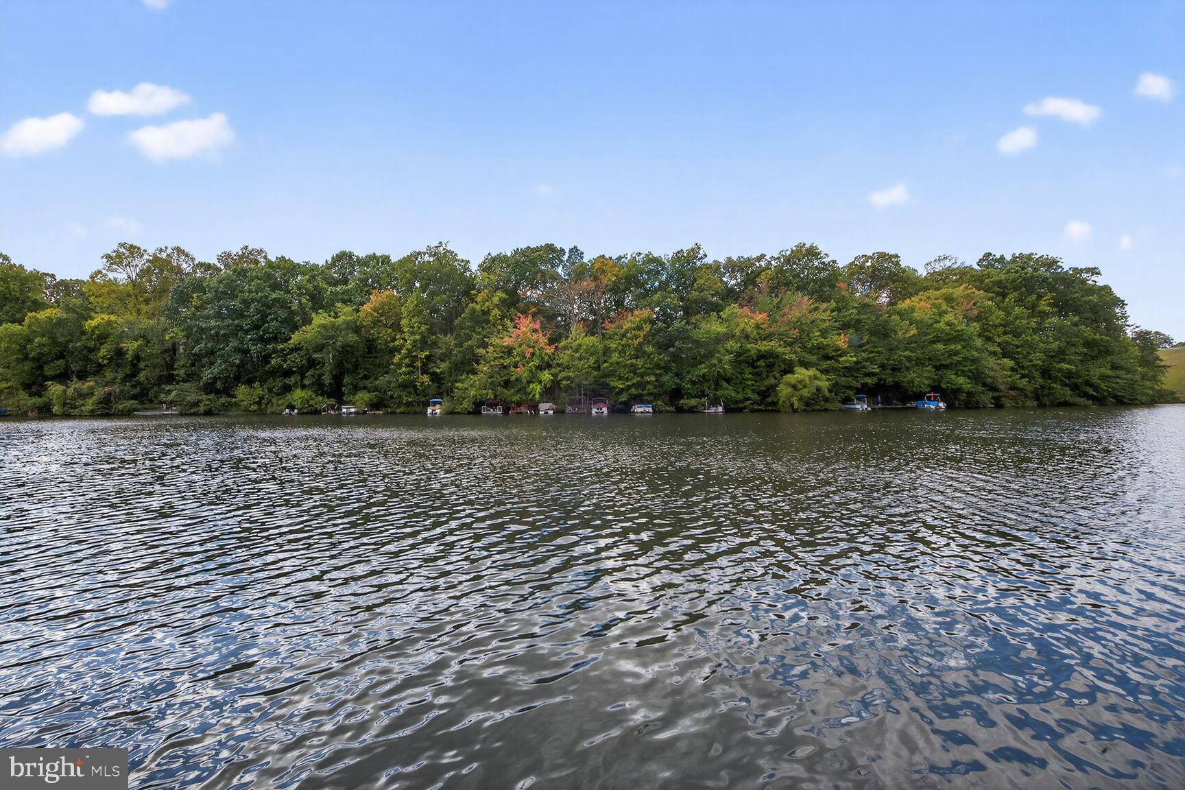 2031 Beacon Place Reston, VA 20191 - Photo 54 of 69