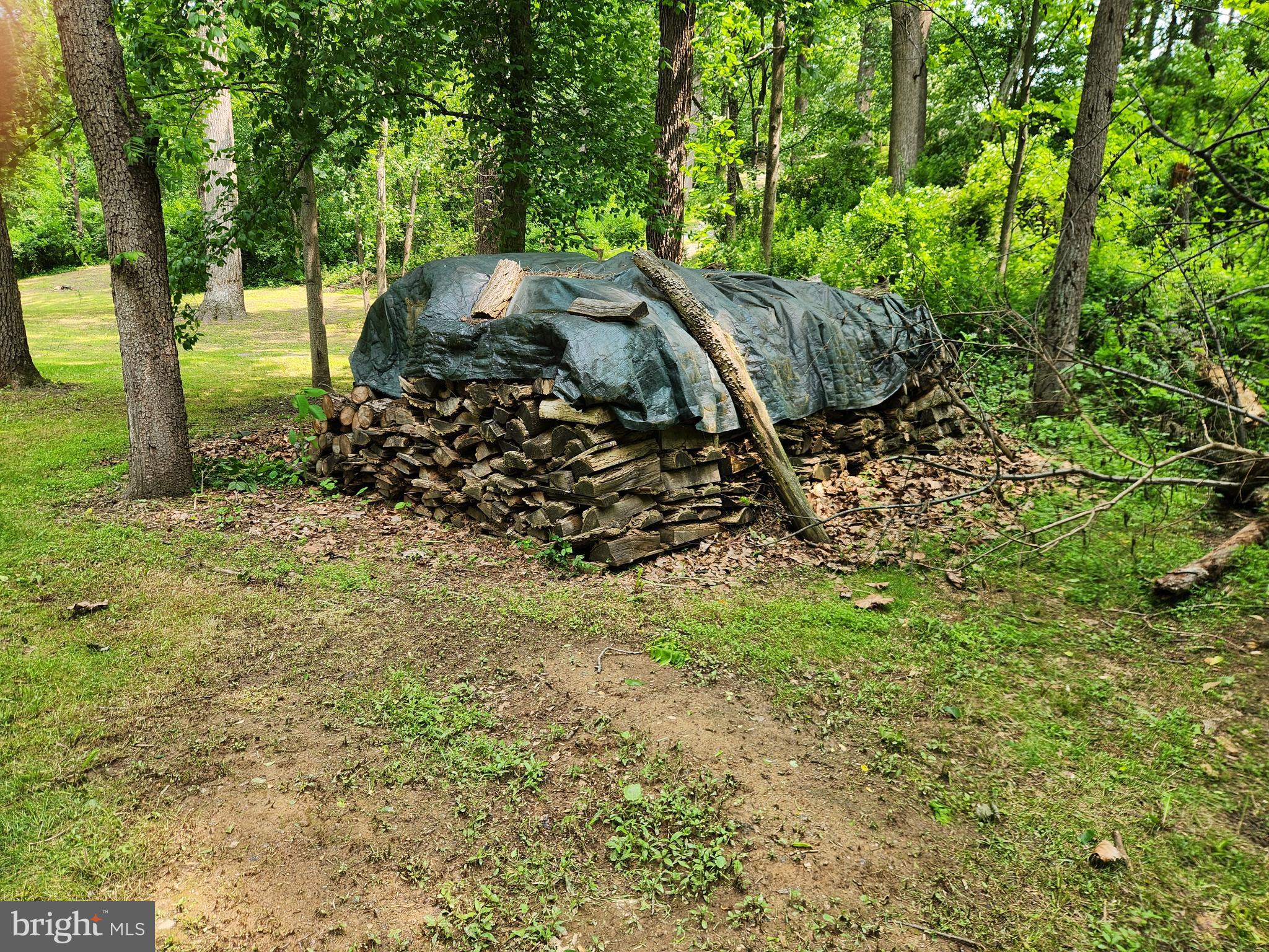 738 Conowingo Road Quarryville, PA 17566 - Photo 72 of 74 2 yr firewood supply