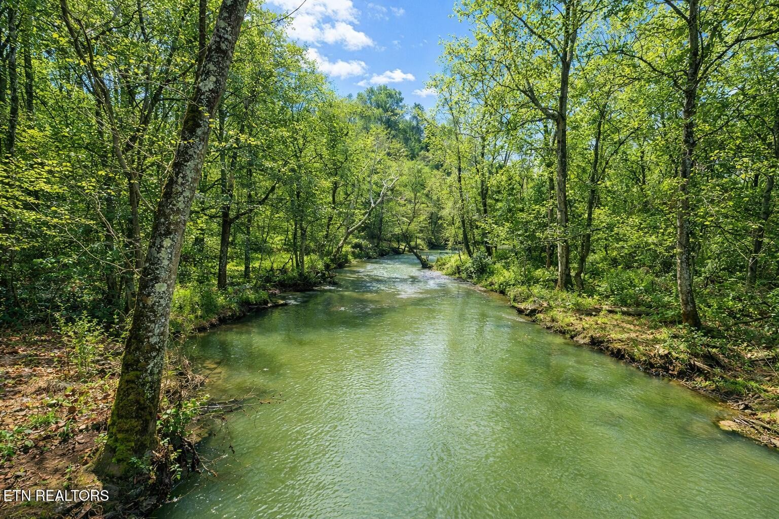 864 Bullrun Valley Drive Heiskell, TN 37754 - Photo 3 of 12 a view of a lake view with a garden