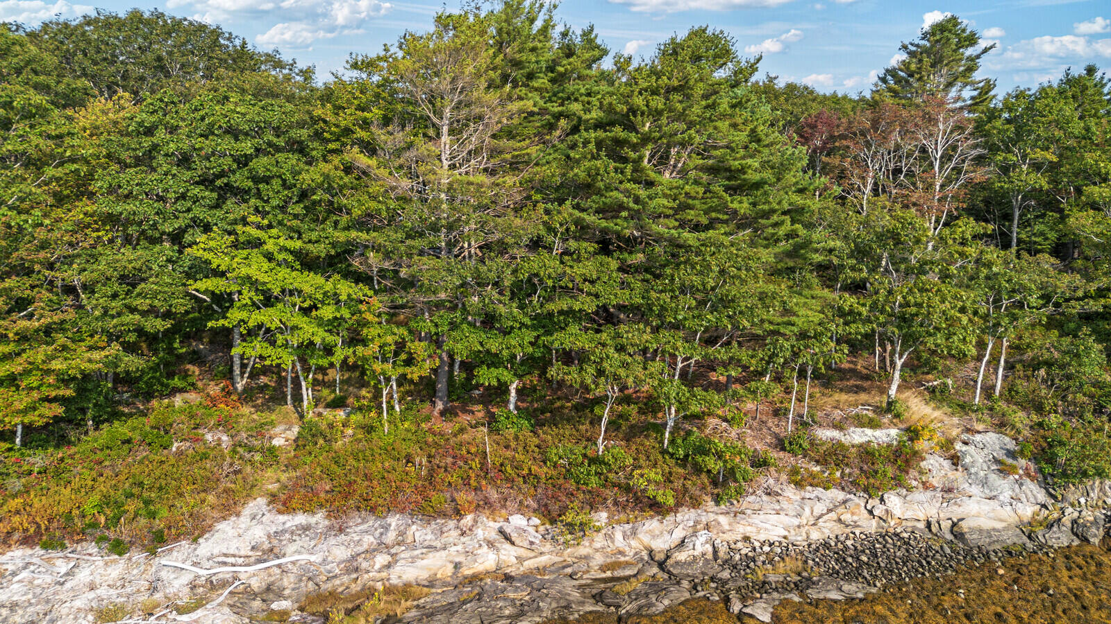 61 Bay Ledges Road Phippsburg, ME 04562 - Photo 4 of 51 63_DJI_0380_DxO_mls