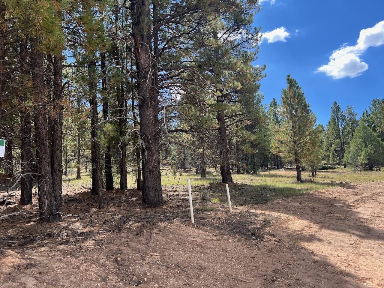 Lot # Elk Ridge Estates Alton, UT 84710 - Photo 5 of 7 Water & Power stub-outs