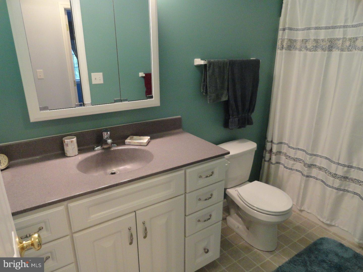 409 Weinsteiger Road Bechtelsville, PA 19505 - Photo 22 of 25 Bathroom