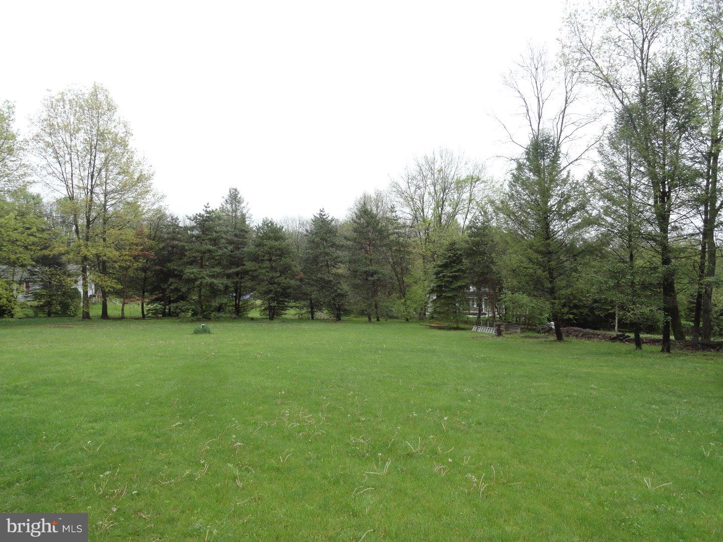 409 Weinsteiger Road Bechtelsville, PA 19505 - Photo 25 of 25 Back Yard