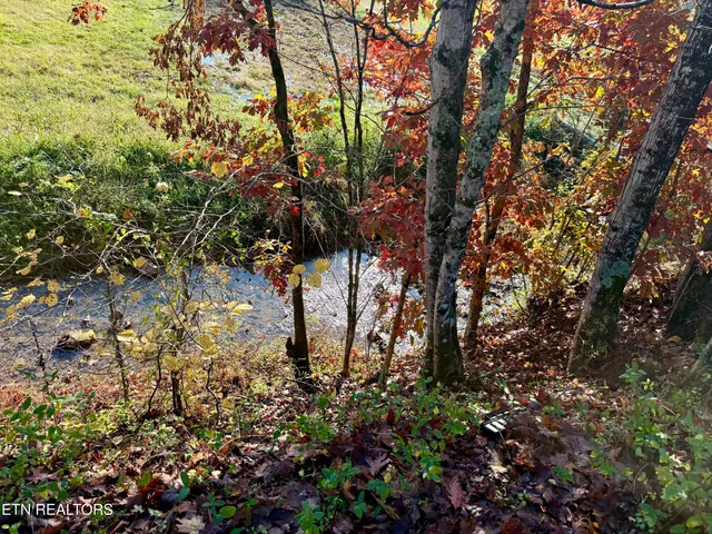 $224,500 | 186 Drinnon Lane, Sneedville, TN 37869