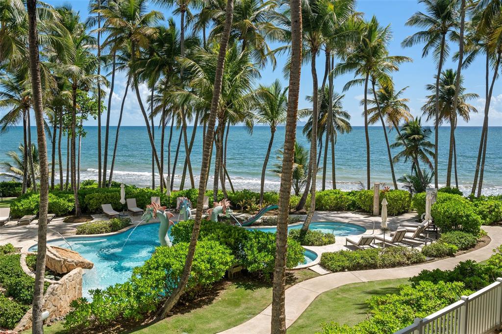 a view of three palm trees