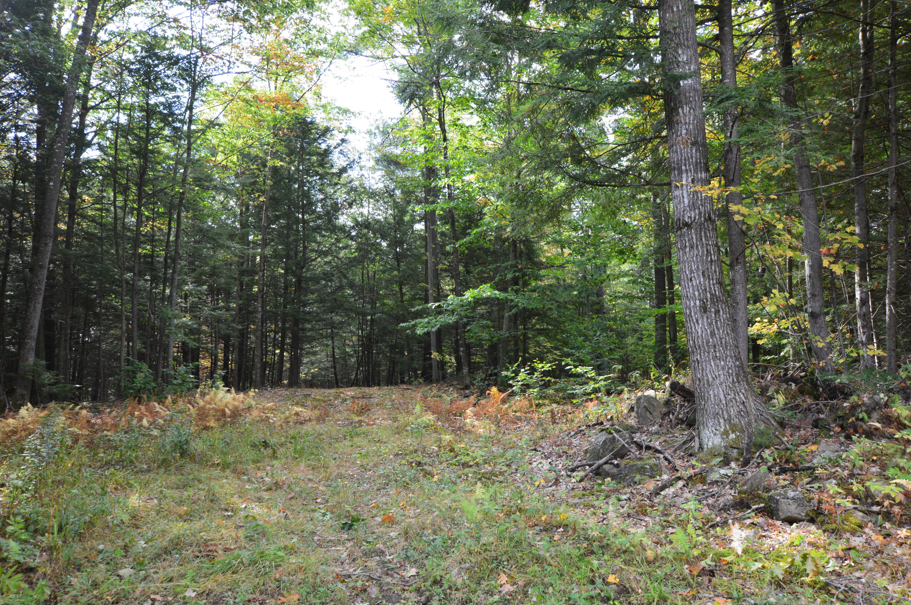 0 Soper Road Winthrop, ME 04364 - Photo 31 of 31 DSC_1434
