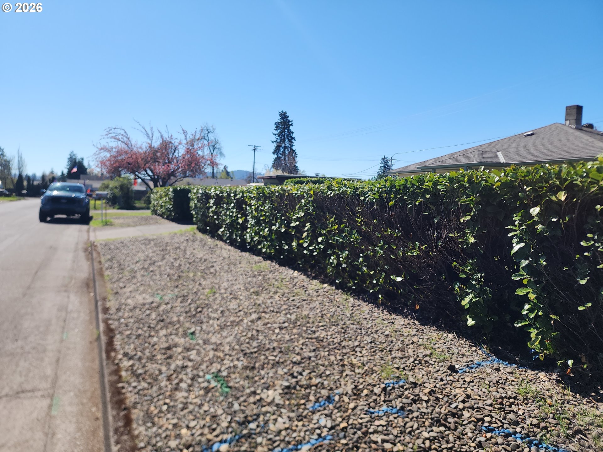 672 North 51st Street Springfield, OR 97478 - Photo 42 of 43