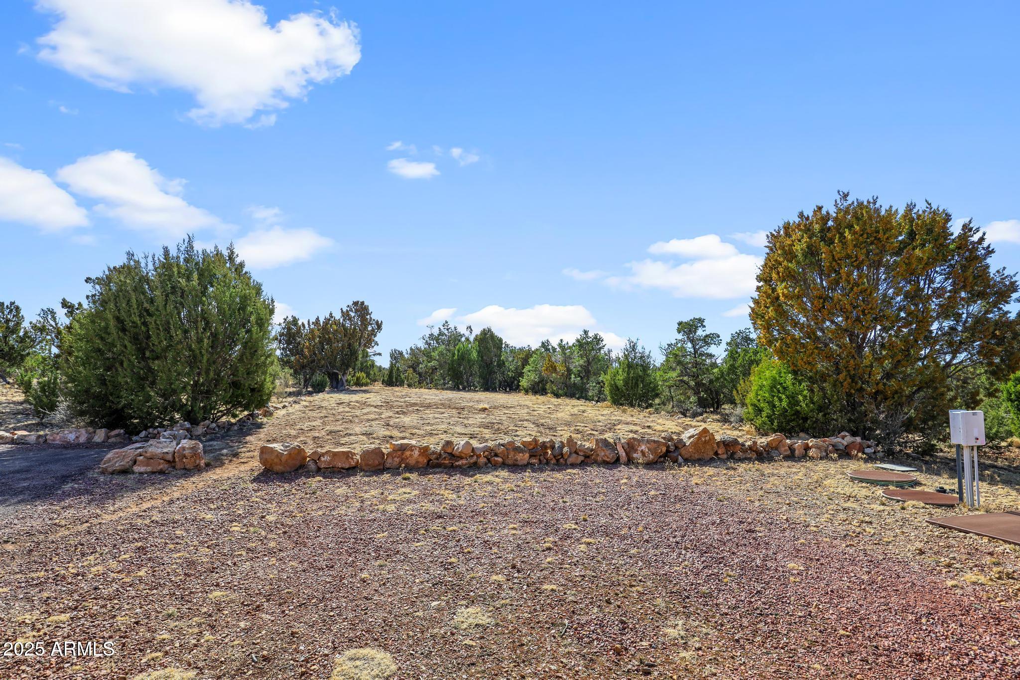 4018 Sunset Rdg Loop Happy Jack, AZ 86024 - Photo 36 of 46 a view of outdoor space with green field and trees