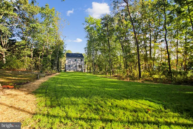 a view of a yard with plants and large trees