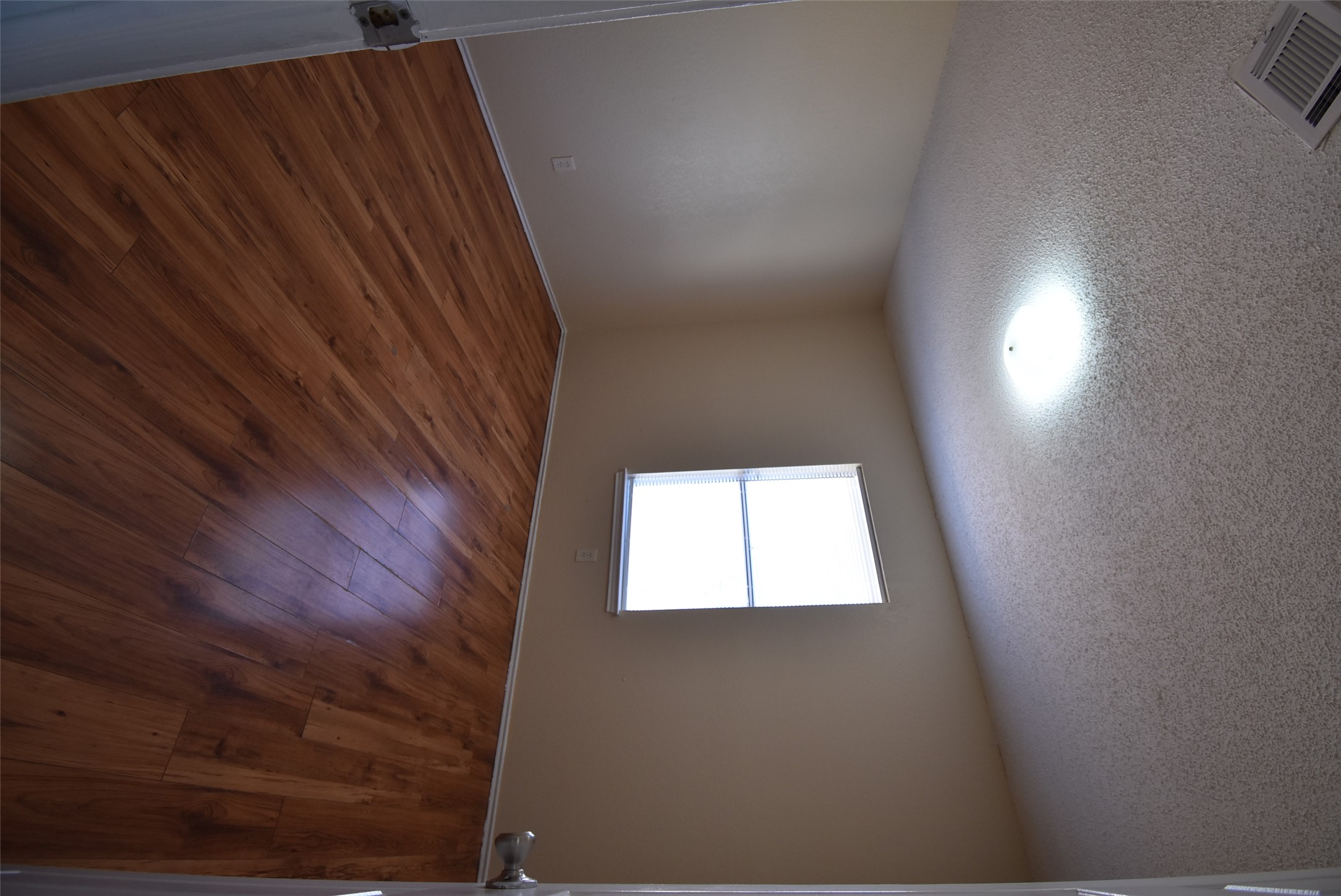 1806 Rawhide Loop Round Rock, TX 78681 - Photo 16 of 23 Spare bedroom with laminate flooring and a textured ceiling
