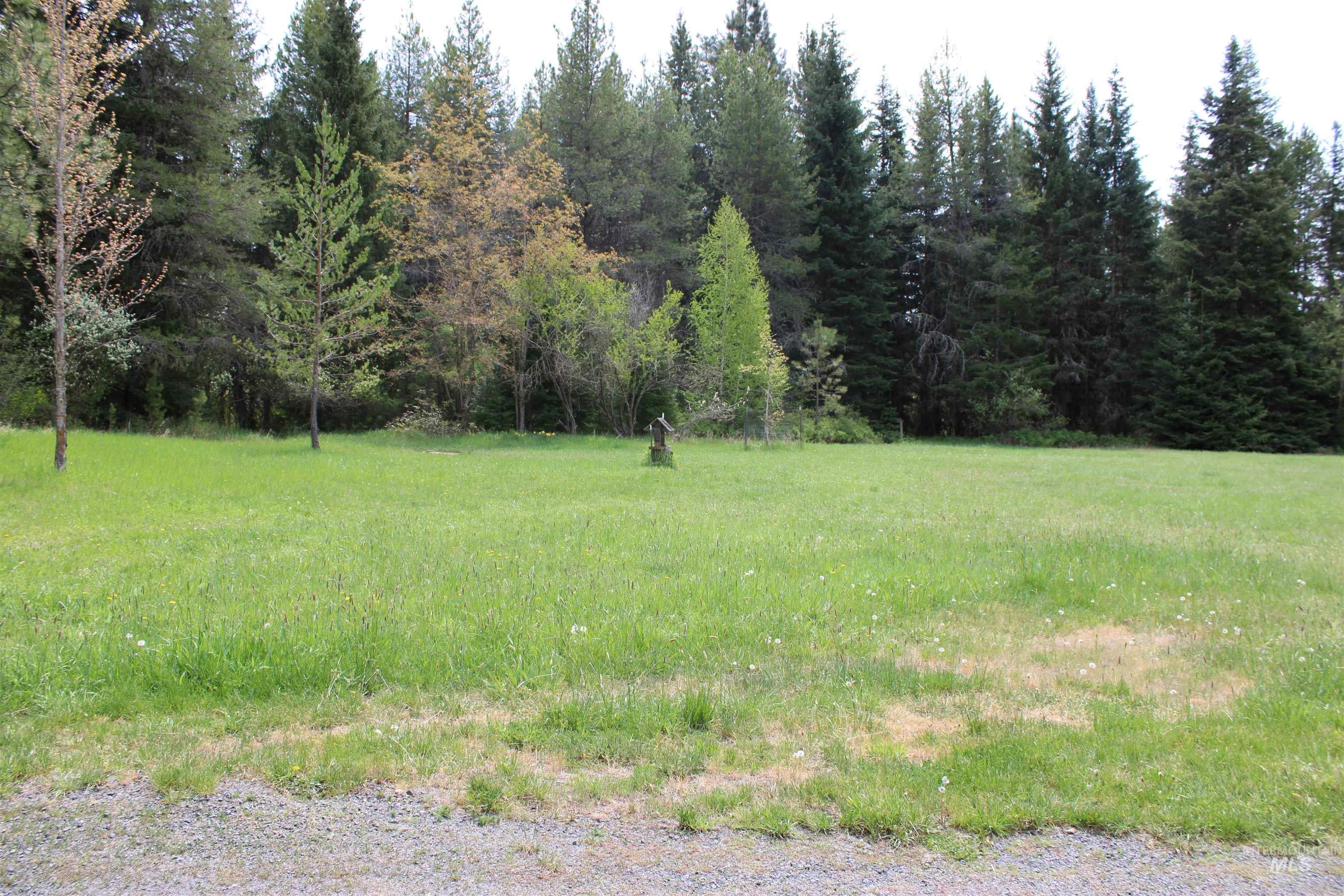 1021 Claypit Road Troy, ID 83871 - Photo 11 of 44
