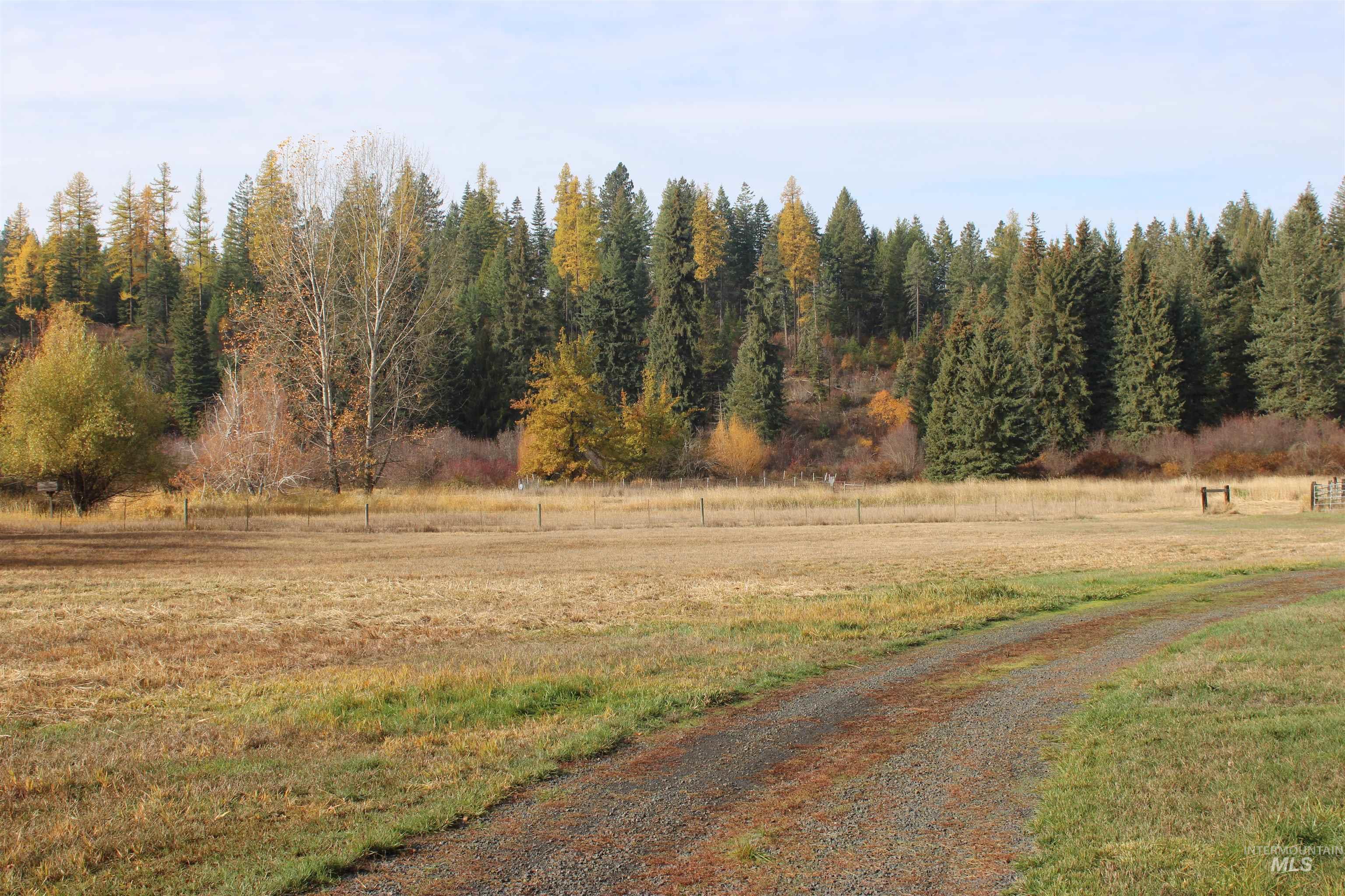 1021 Claypit Road Troy, ID 83871 - Photo 37 of 44 View of dirt / gravel road with a view of rural / pastoral area and a forest view