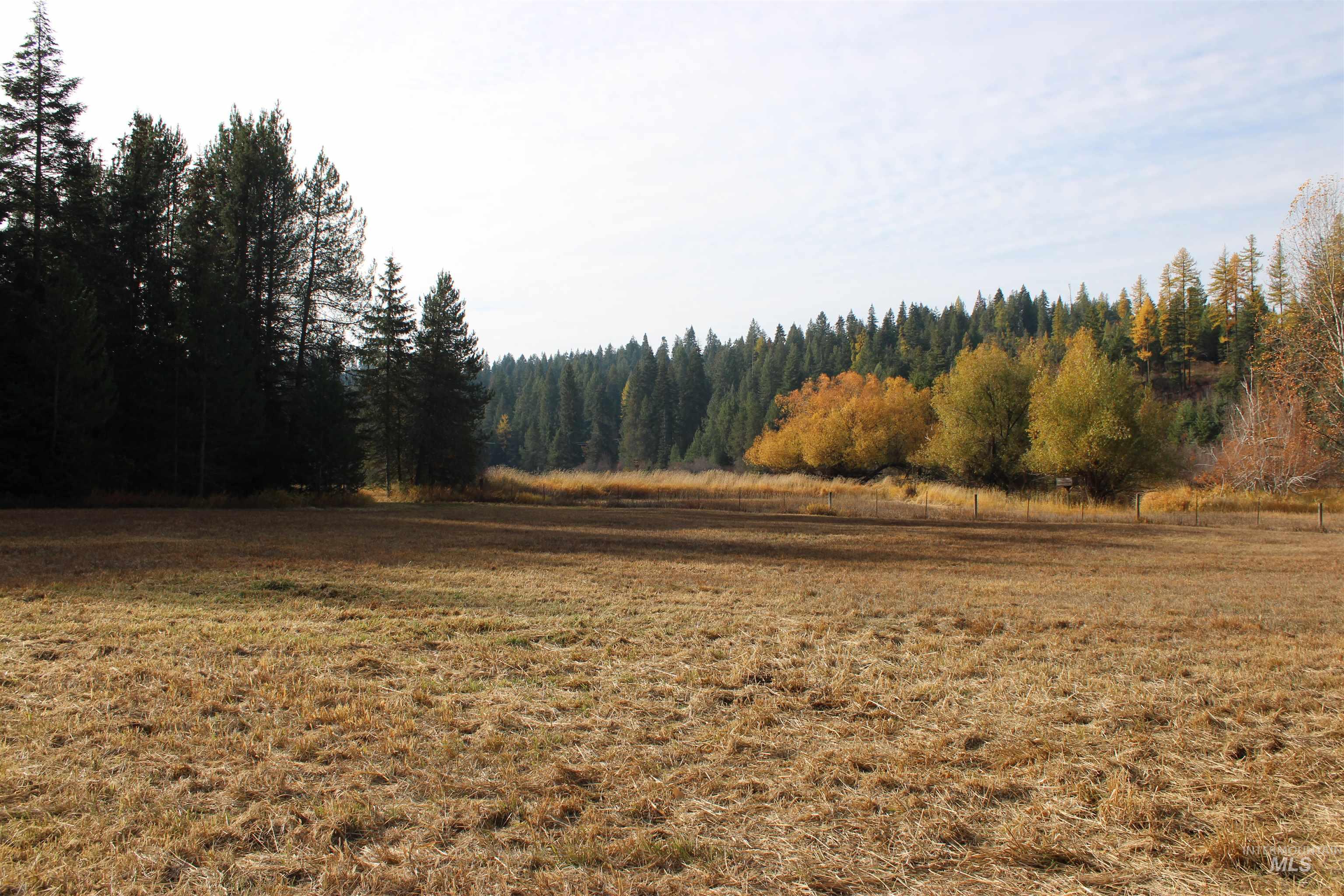 1021 Claypit Road Troy, ID 83871 - Photo 38 of 44 View of woods featuring a view of countryside