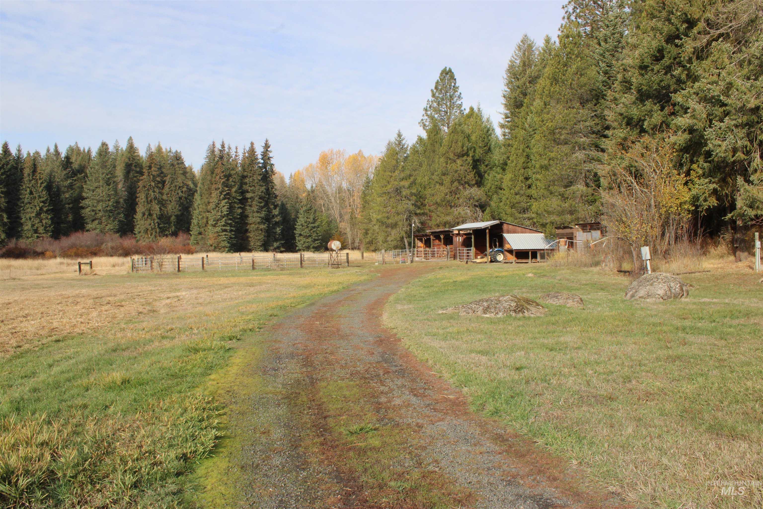 1021 Claypit Road Troy, ID 83871 - Photo 39 of 44 View of dirt / gravel road with a forest view and a view of rural / pastoral area