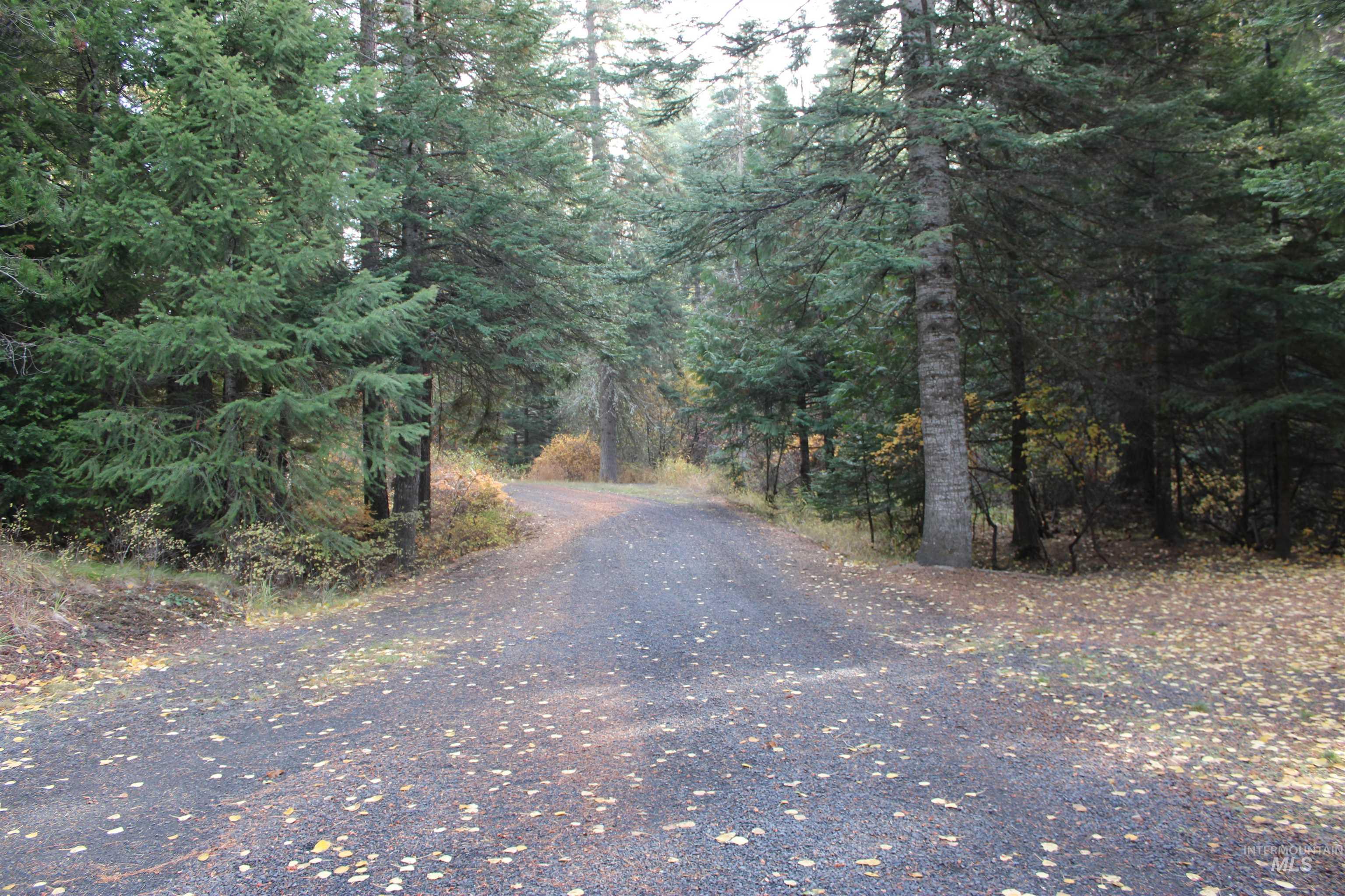 1021 Claypit Road Troy, ID 83871 - Photo 40 of 44 View of dirt / gravel road featuring a wooded view