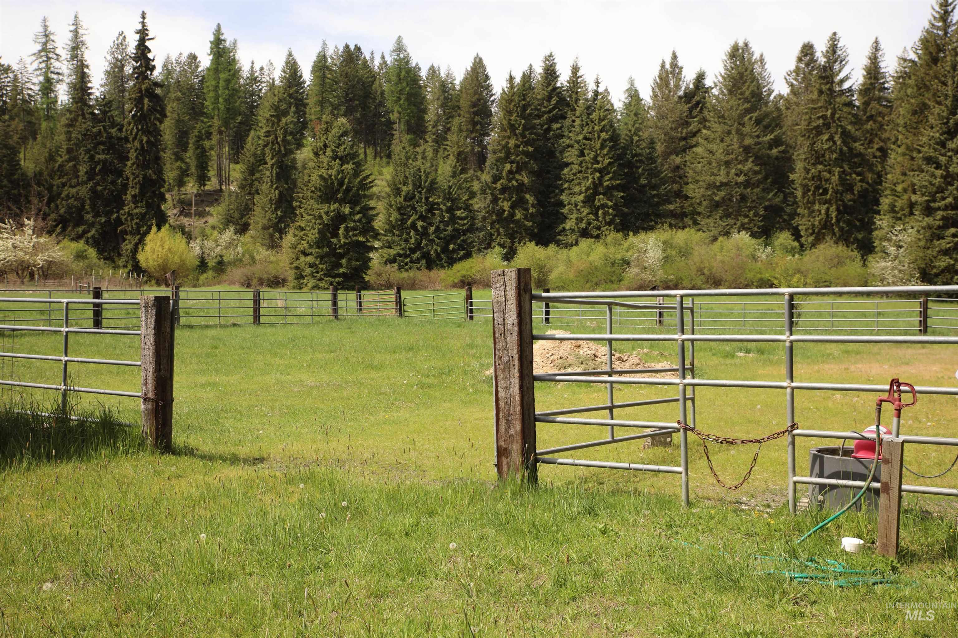 1021 Claypit Road Troy, ID 83871 - Photo 4 of 44