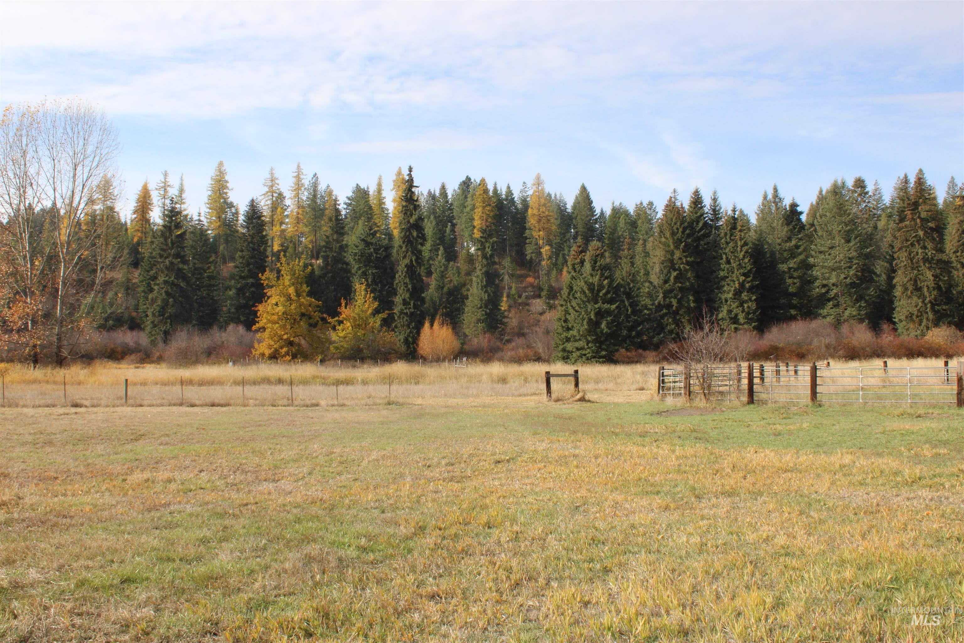 1021 Claypit Road Troy, ID 83871 - Photo 42 of 44 View of yard with a rural view and a forest view