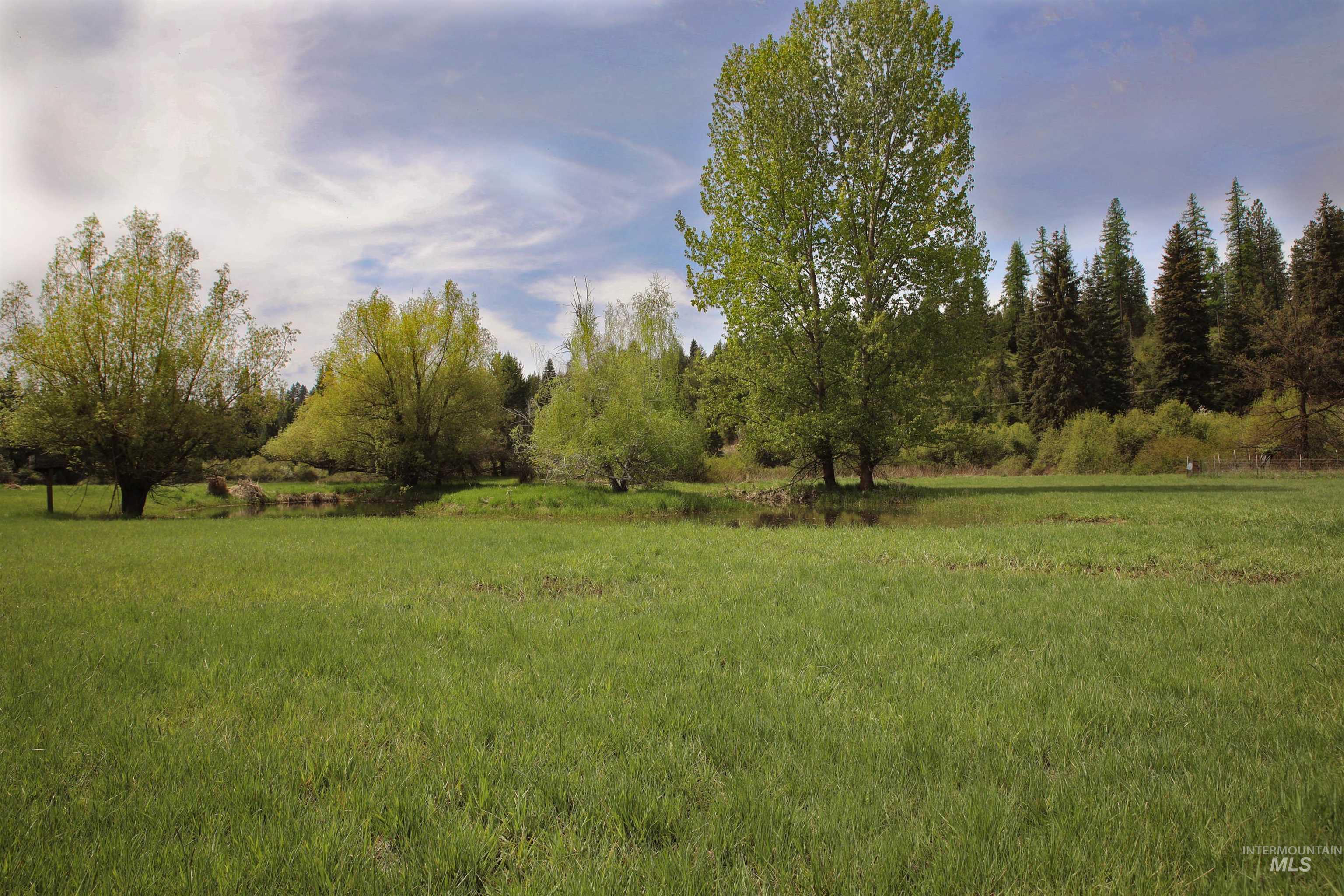 1021 Claypit Road Troy, ID 83871 - Photo 8 of 44
