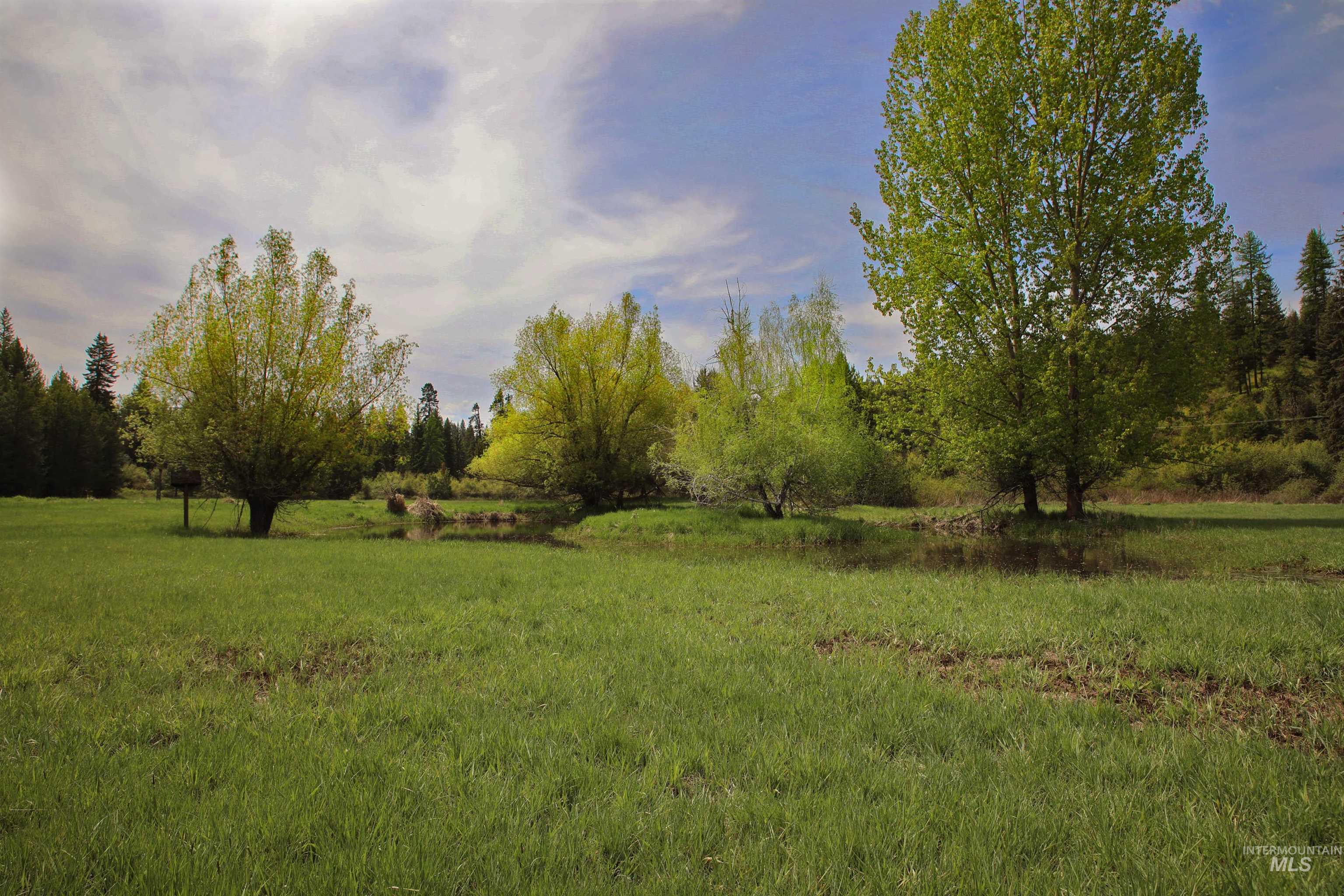 1021 Claypit Road Troy, ID 83871 - Photo 9 of 44