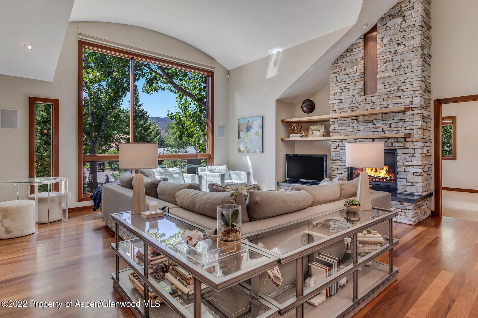 205 Columbine Court Basalt, CO 81621 - Photo 3 of 48 Living Room View