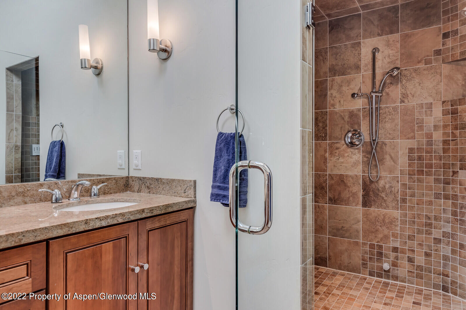 205 Columbine Court Basalt, CO 81621 - Photo 32 of 48 Guest Shower
