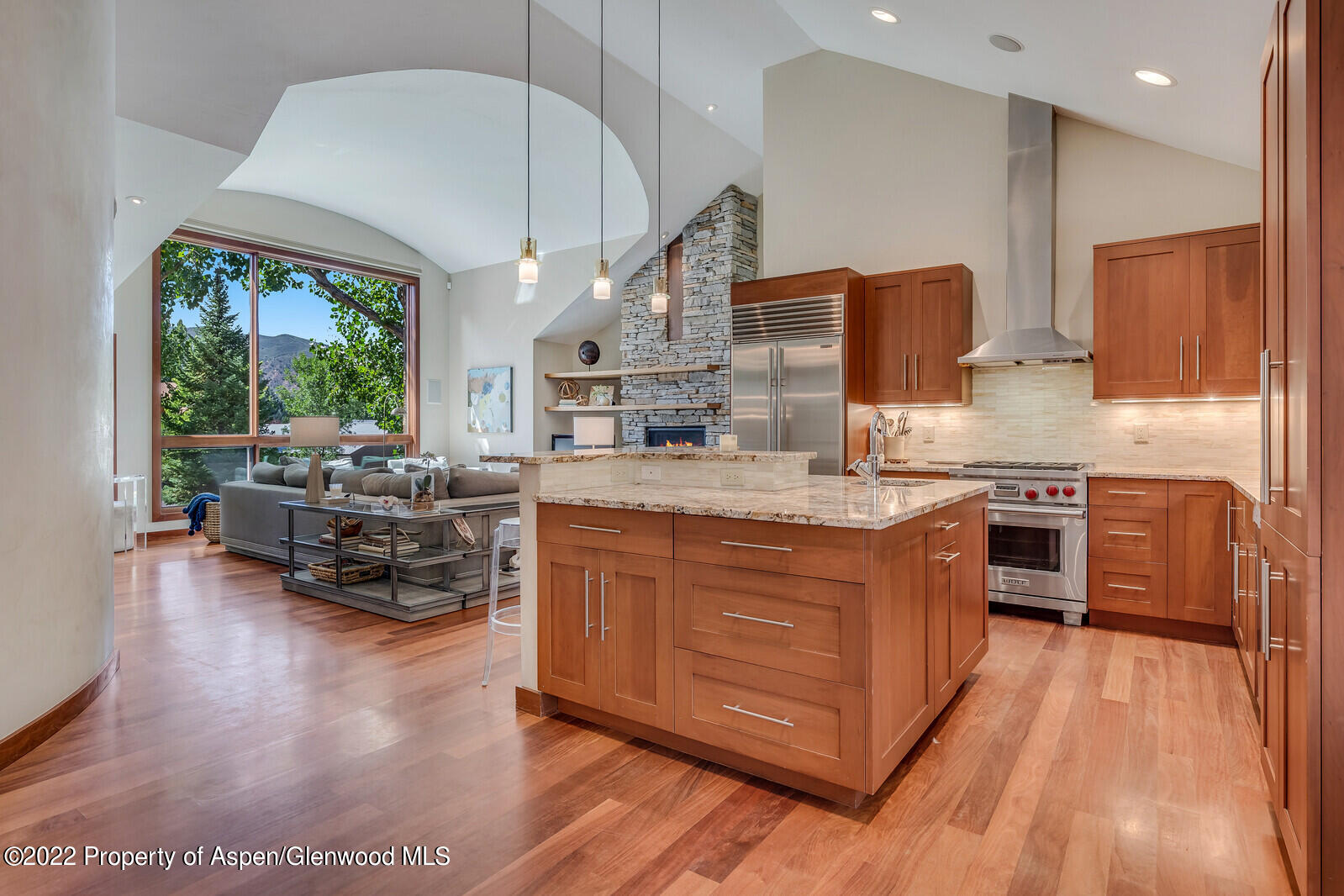 205 Columbine Court Basalt, CO 81621 - Photo 6 of 48 Kitchen to Living