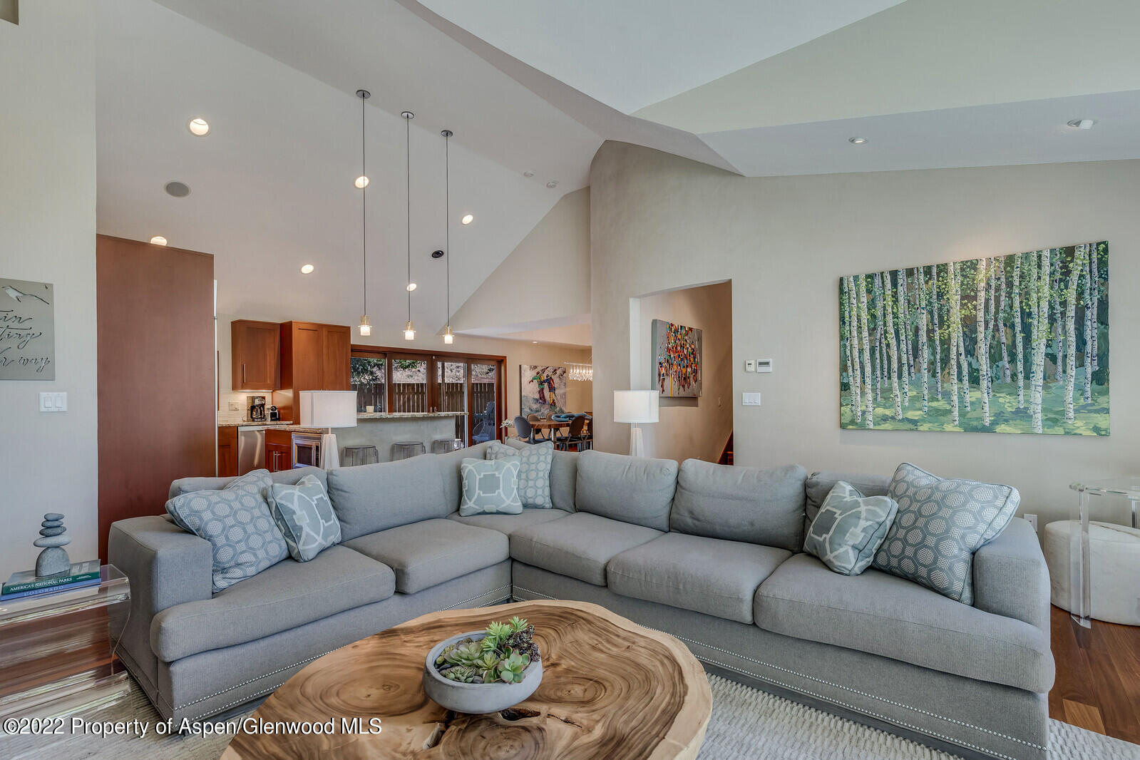 205 Columbine Court Basalt, CO 81621 - Photo 7 of 48 Living Room 3