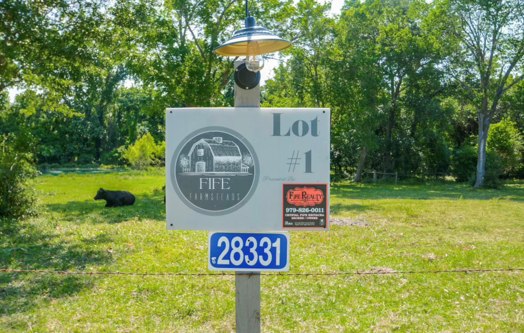 28331 Clarke Bottom Road Hempstead, TX 77445 - Photo 3 of 12