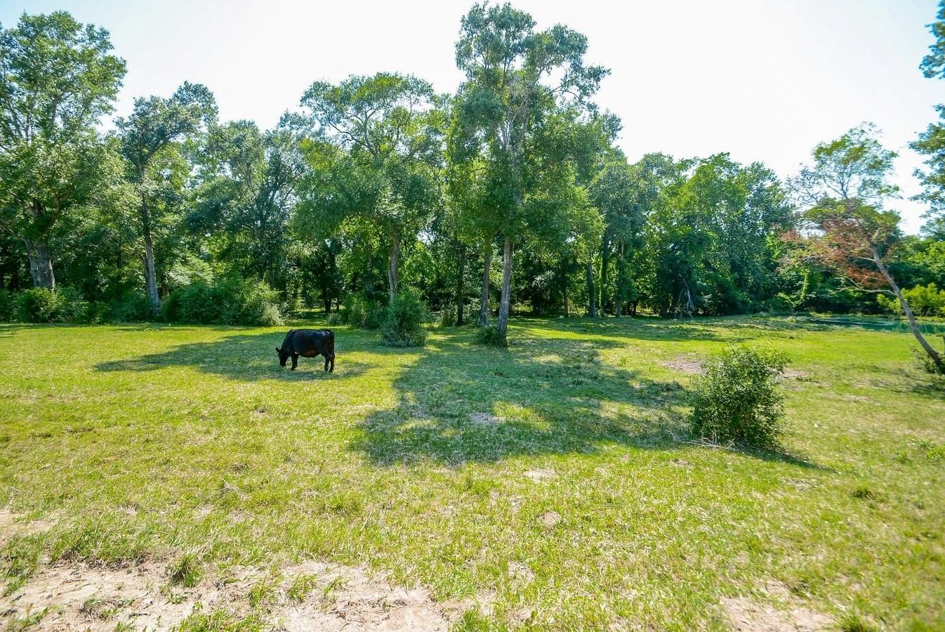 28331 Clarke Bottom Road Hempstead, TX 77445 - Photo 4 of 12