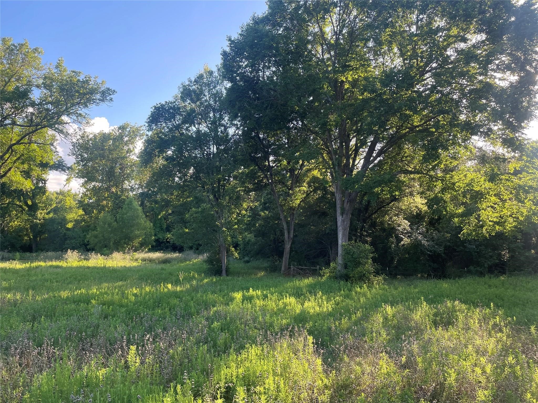 28331 Clarke Bottom Road Hempstead, TX 77445 - Photo 8 of 12