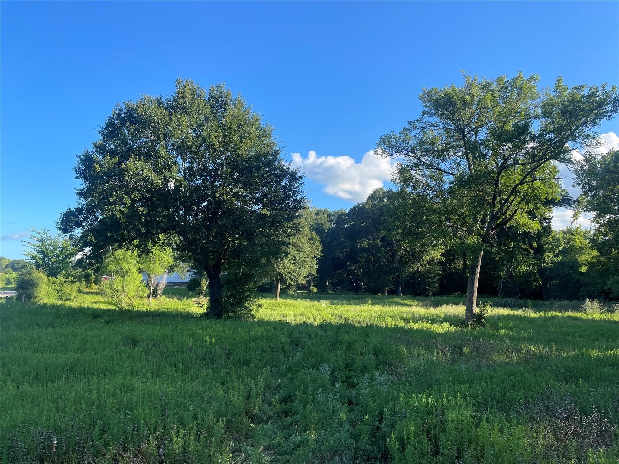 28331 Clarke Bottom Road Hempstead, TX 77445 - Photo 9 of 12