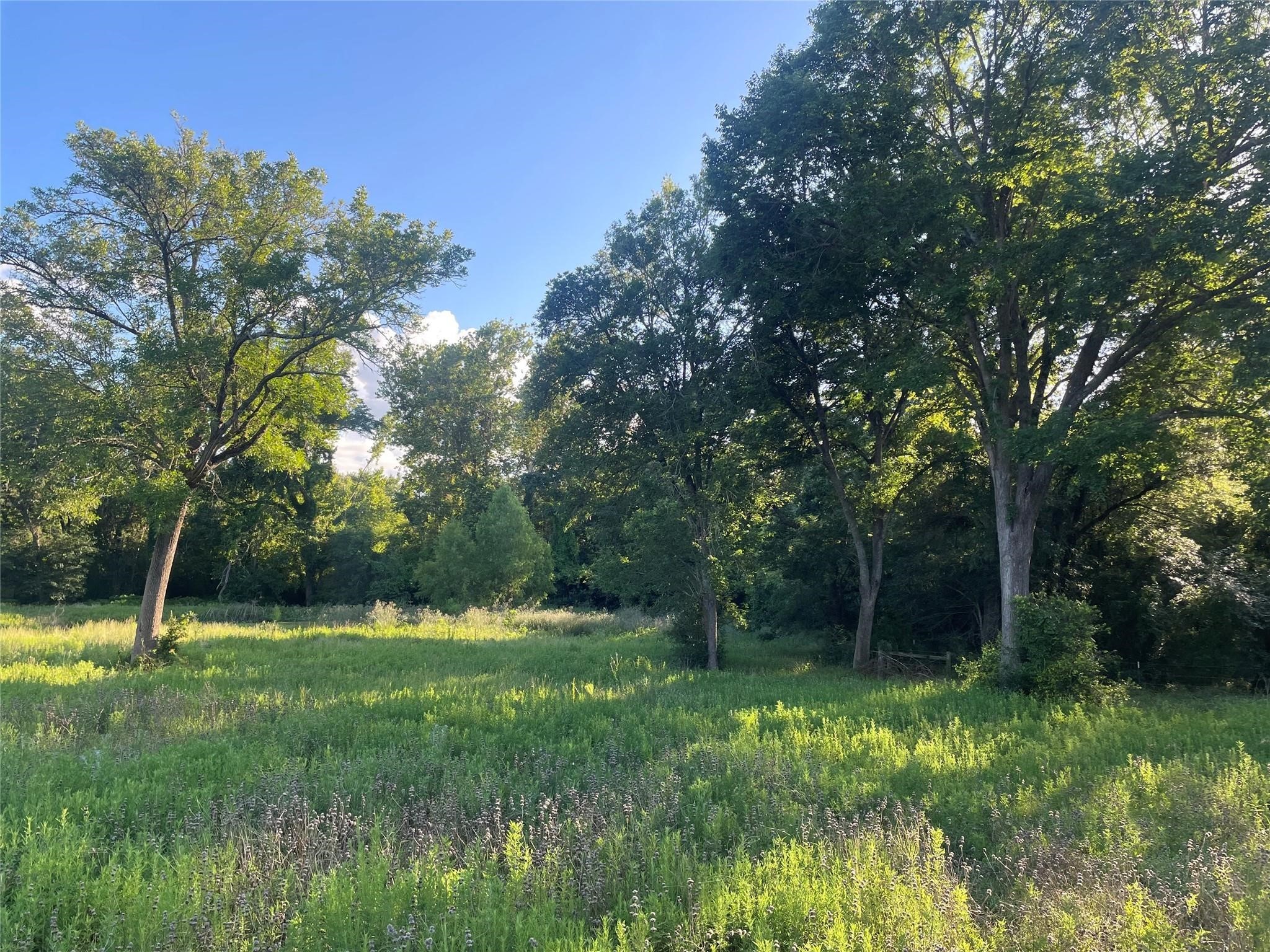 28331 Clarke Bottom Road Hempstead, TX 77445 - Photo 10 of 12