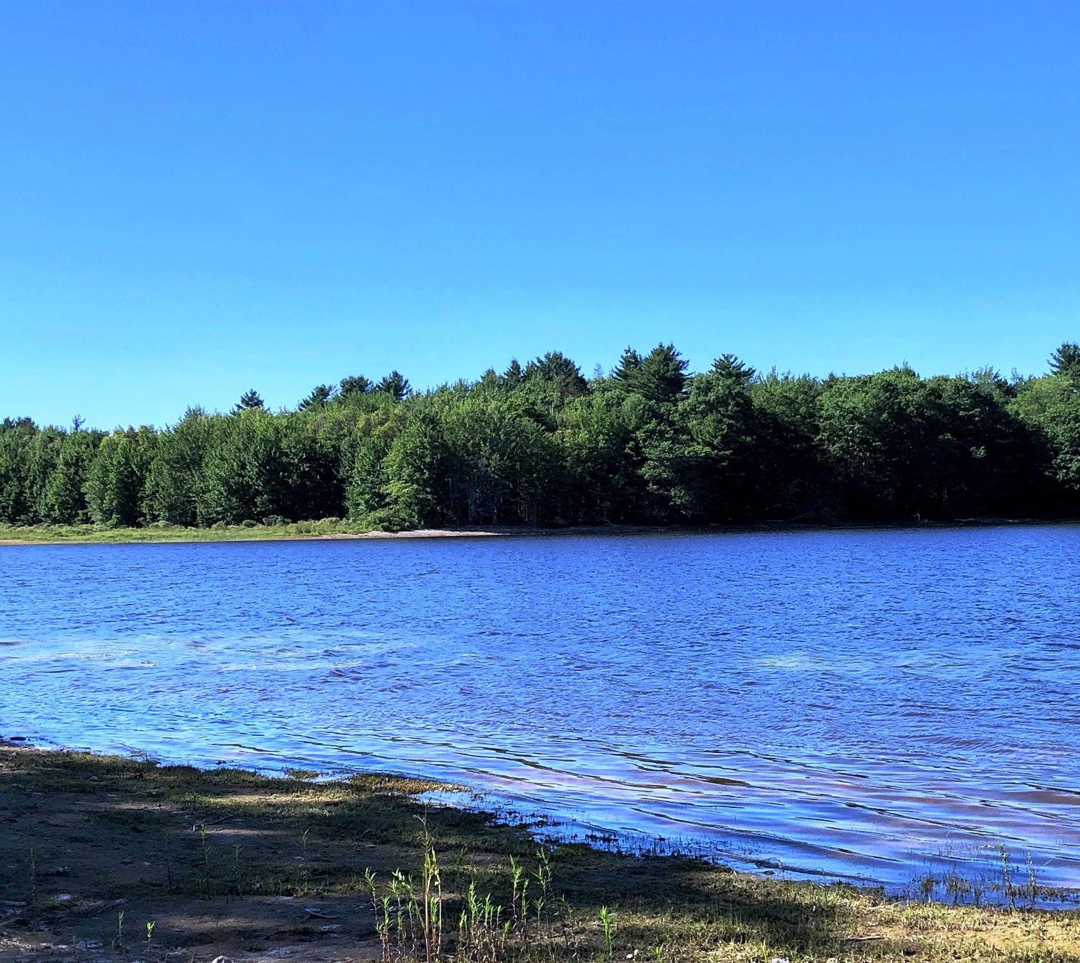 348 Morrison Farm Road Ellsworth, ME 04605 - Photo 2 of 17 Sinclair2