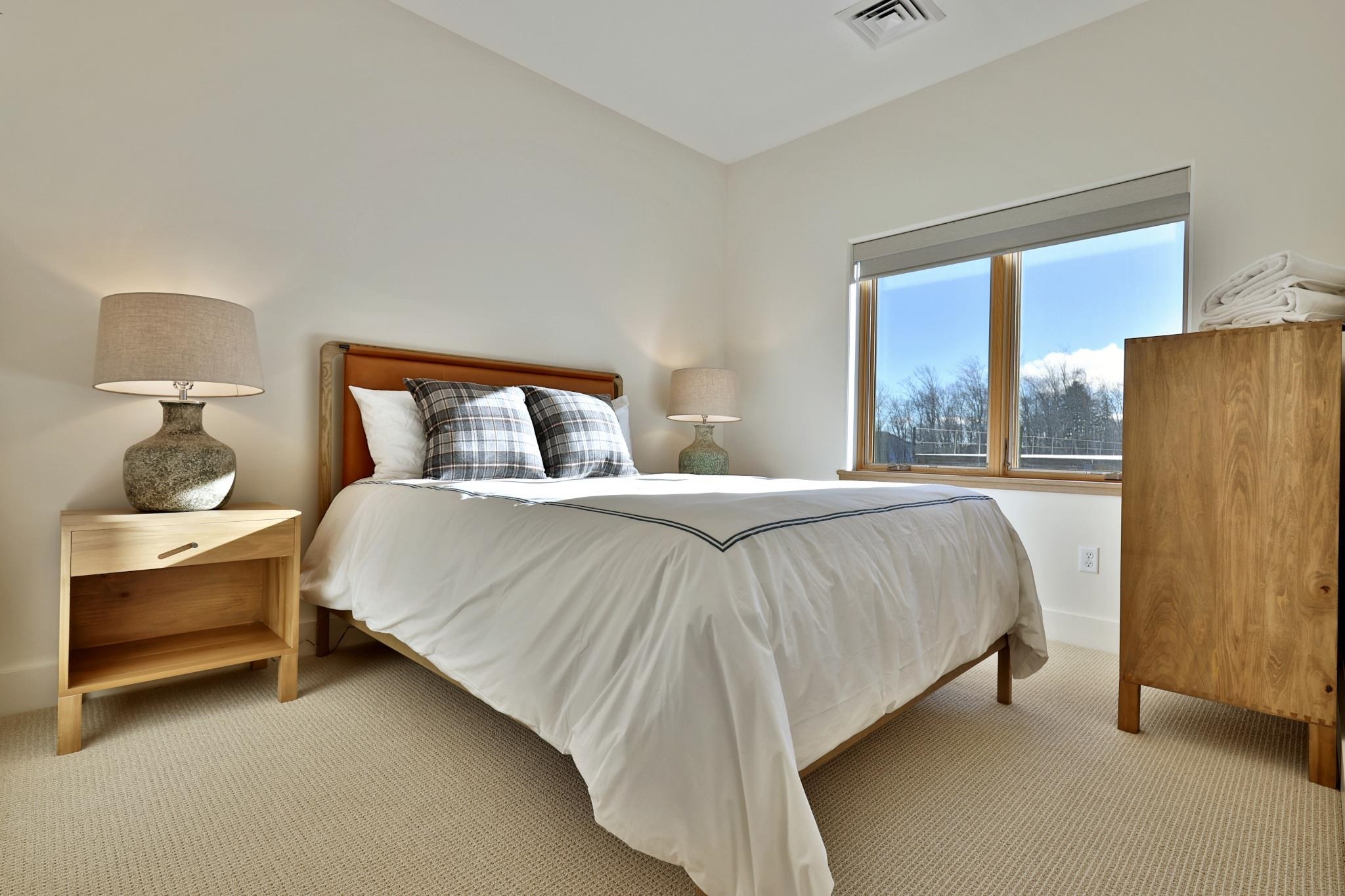 37 Village Center Road, Unit 1 Ludlow, VT 05149 - Photo 32 of 60