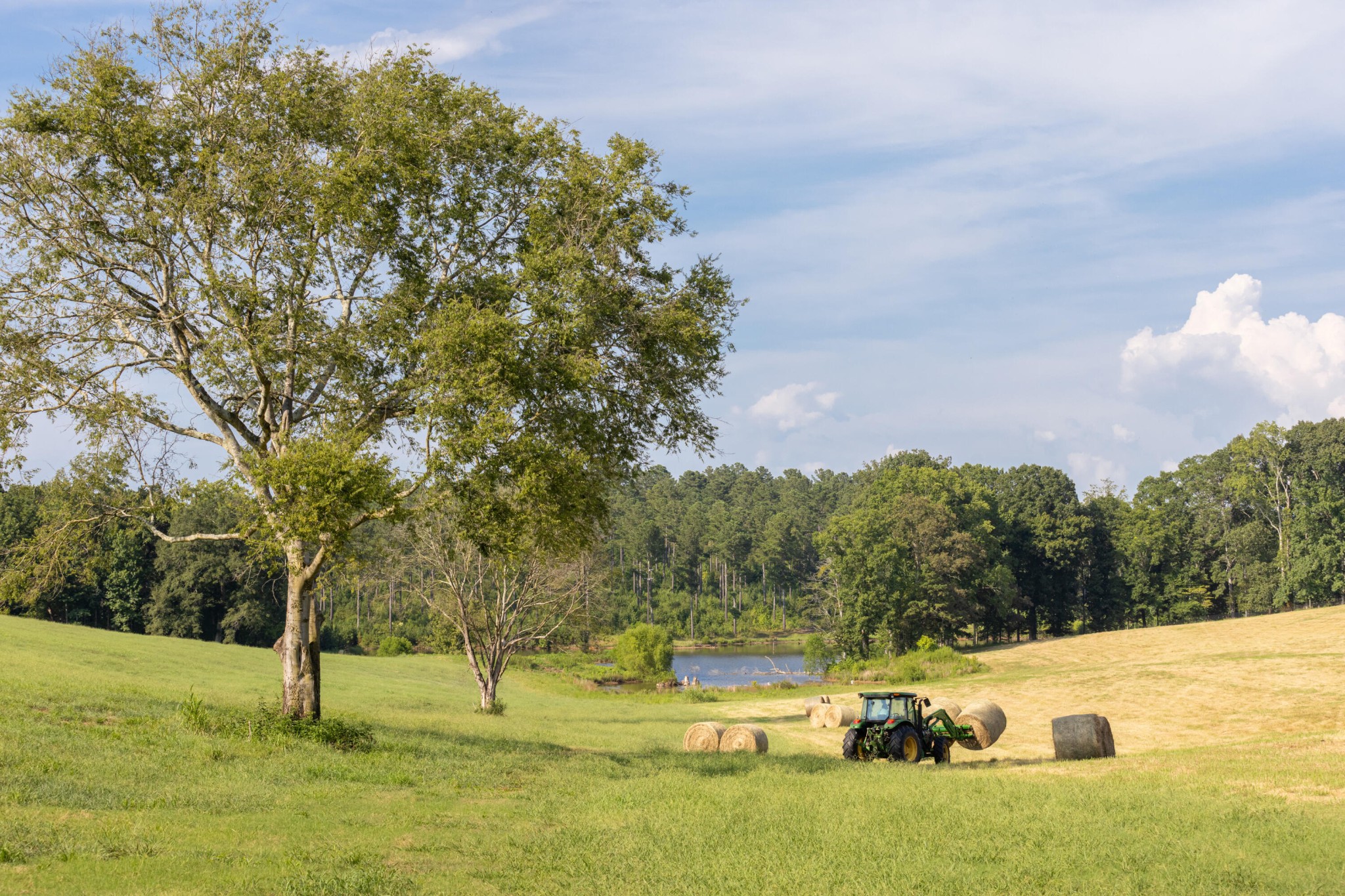 1129 Farmersville Road Summerville, GA 30747 - Photo 13 of 100
