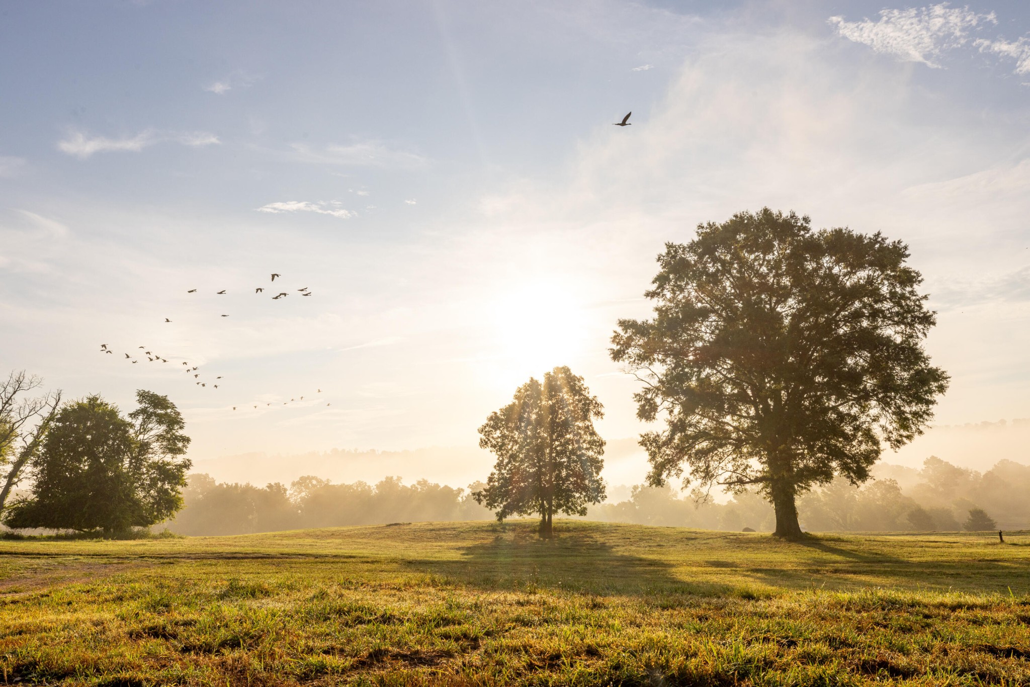 1129 Farmersville Road Summerville, GA 30747 - Photo 21 of 100
