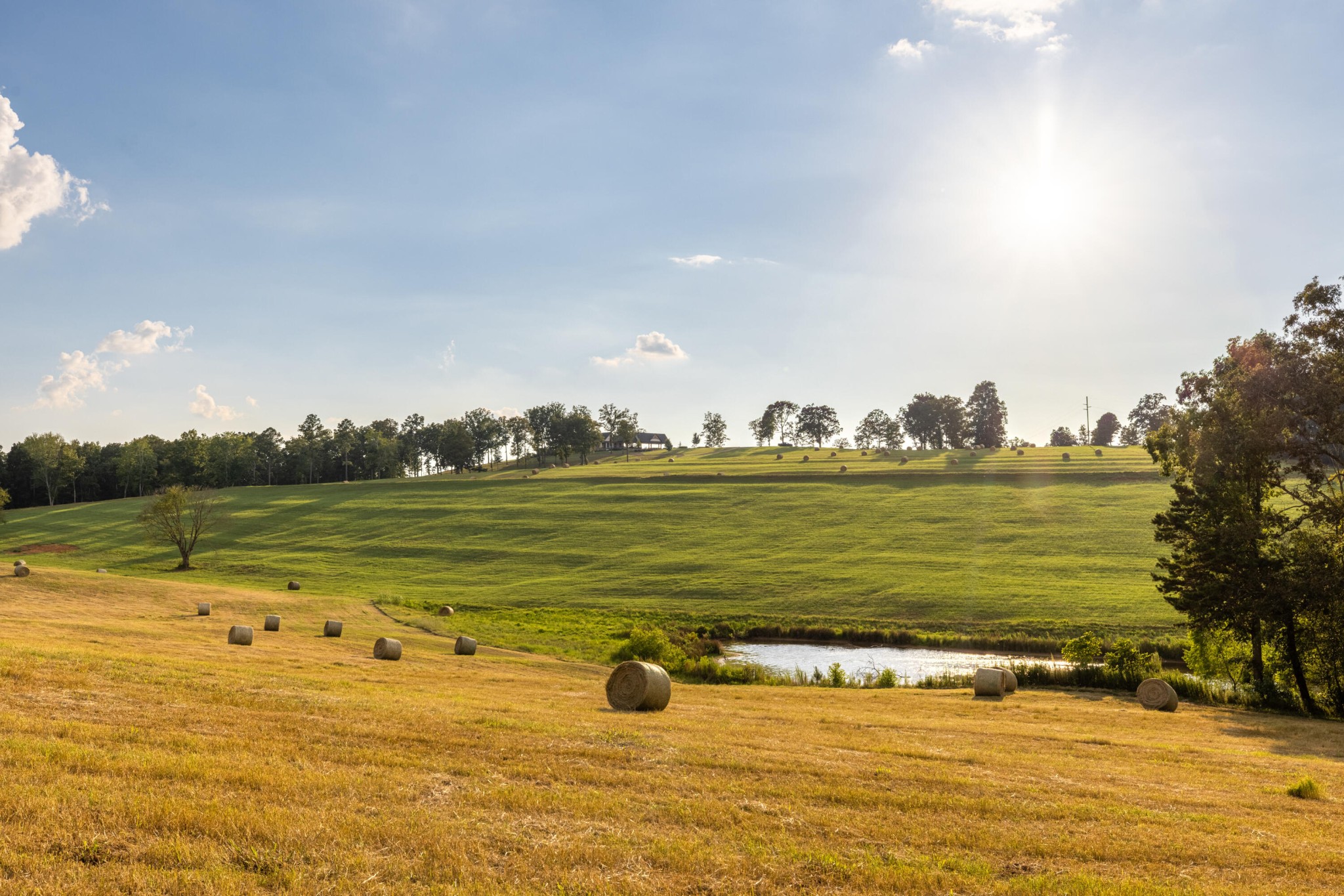 1129 Farmersville Road Summerville, GA 30747 - Photo 27 of 100