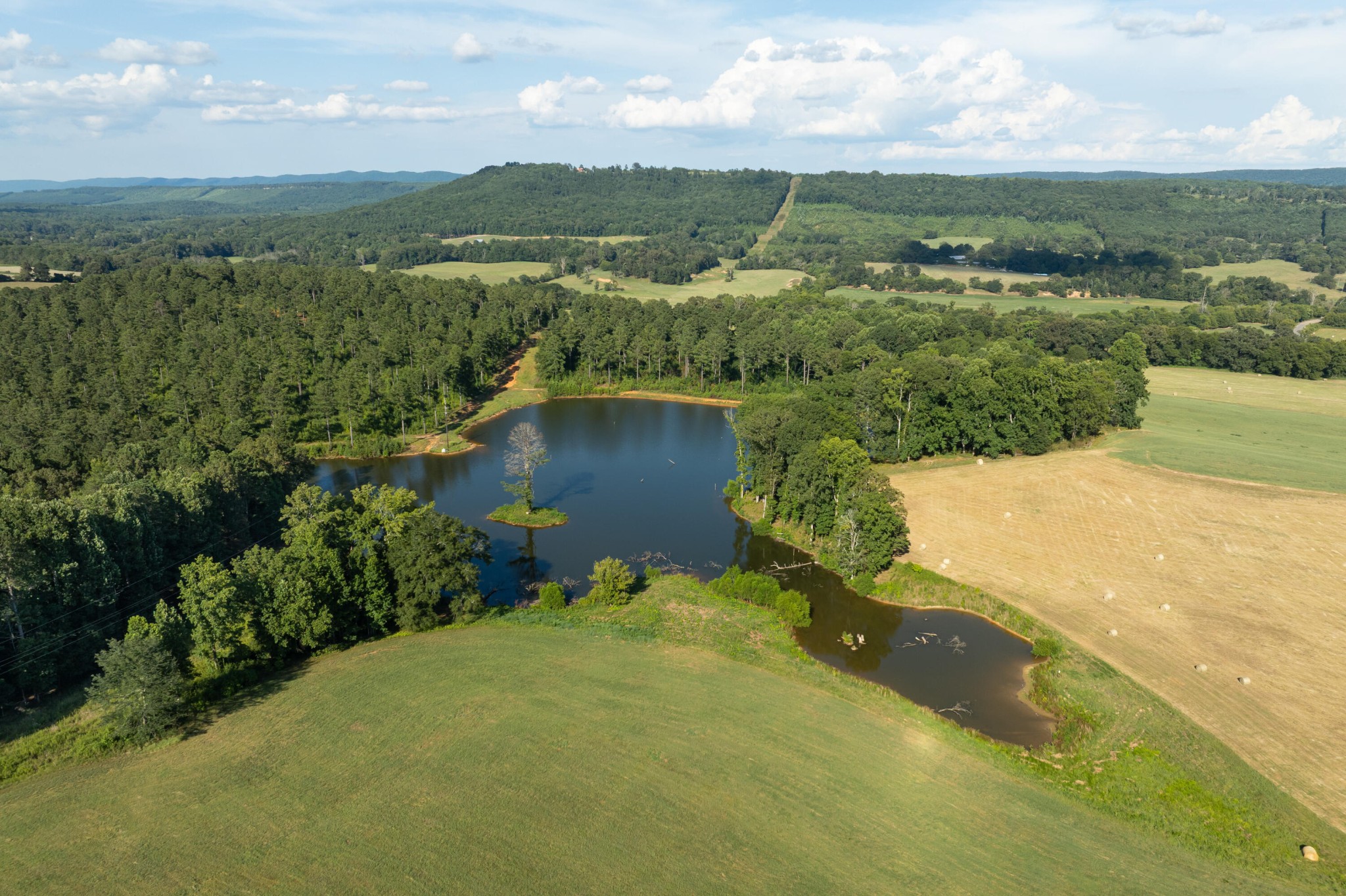 1129 Farmersville Road Summerville, GA 30747 - Photo 30 of 100