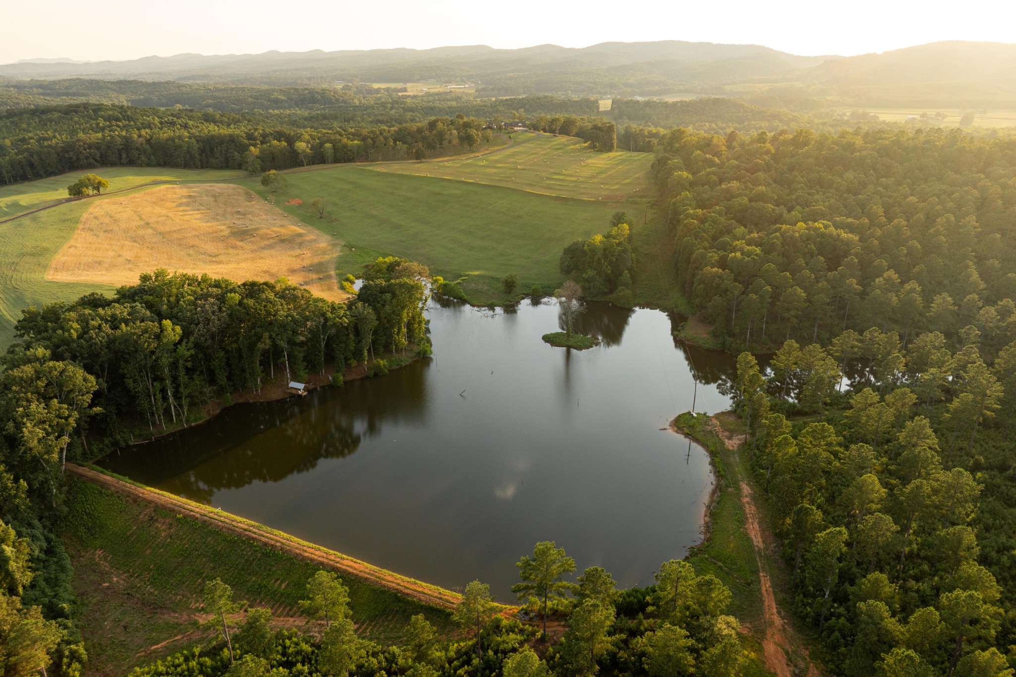 1129 Farmersville Road Summerville, GA 30747 - Photo 4 of 100