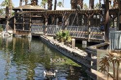 70875 Dillon Road, Unit 56 Desert Hot Springs, CA 92241 - Photo 22 of 25 Additional Photo