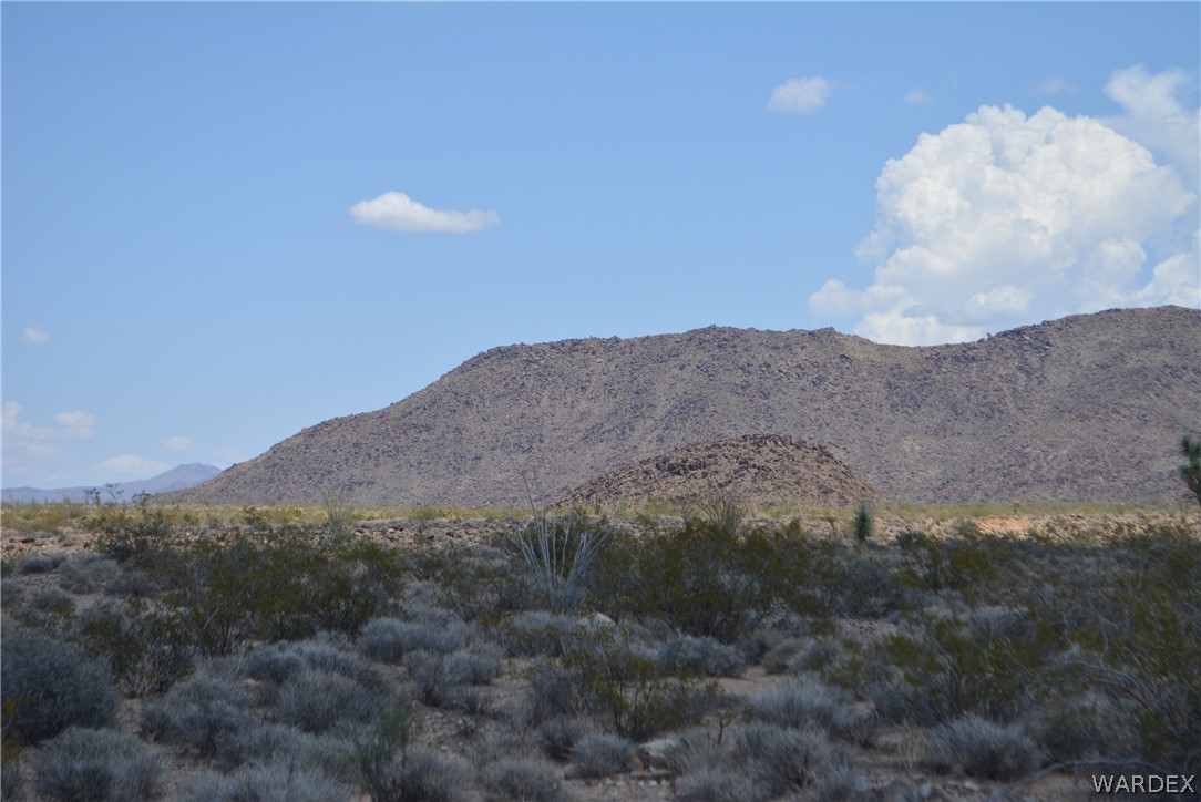 208-24-134 Cameron Road Yucca, AZ 86438 - Photo 23 of 86