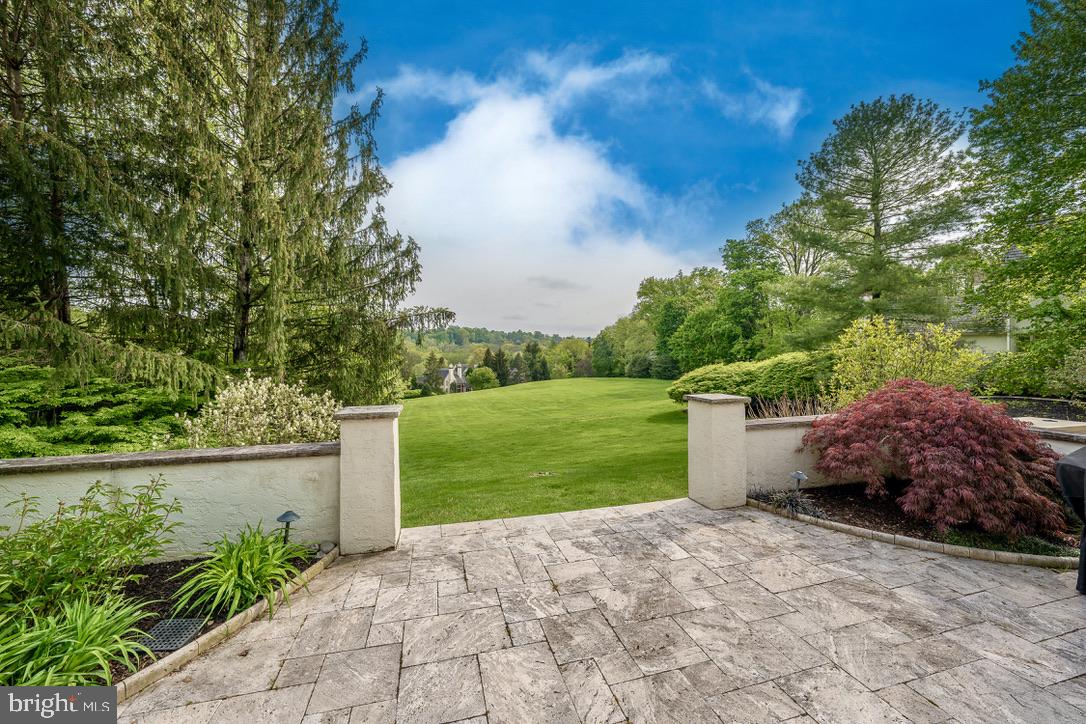 1201 Denbigh Lane Wayne, PA 19087 - Photo 50 of 54 a view of a garden with potted plants